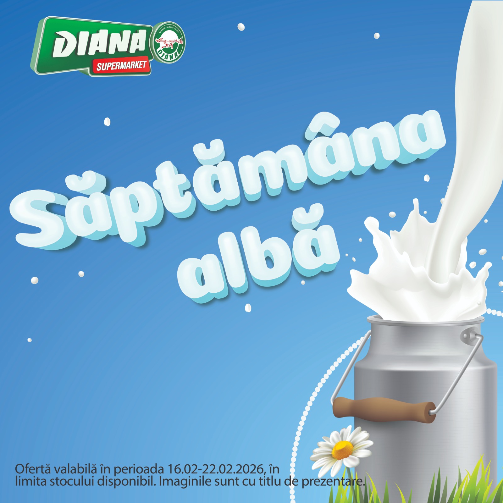 Catalog Diana - Super Ofertă online – oferte valabile din 16.02.2026