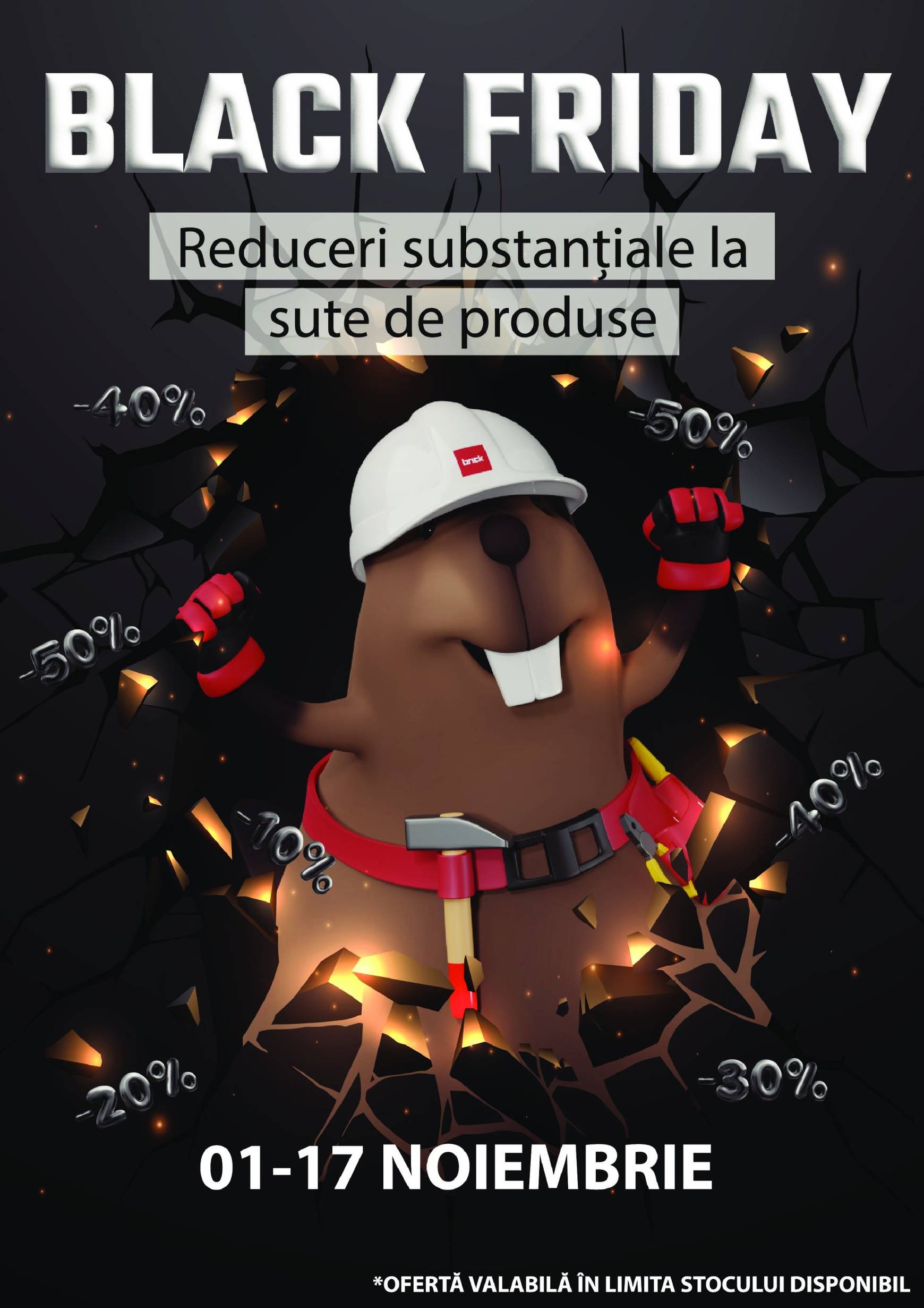Catalog Brick - Black Friday valabil din 01.11. - 17.11.