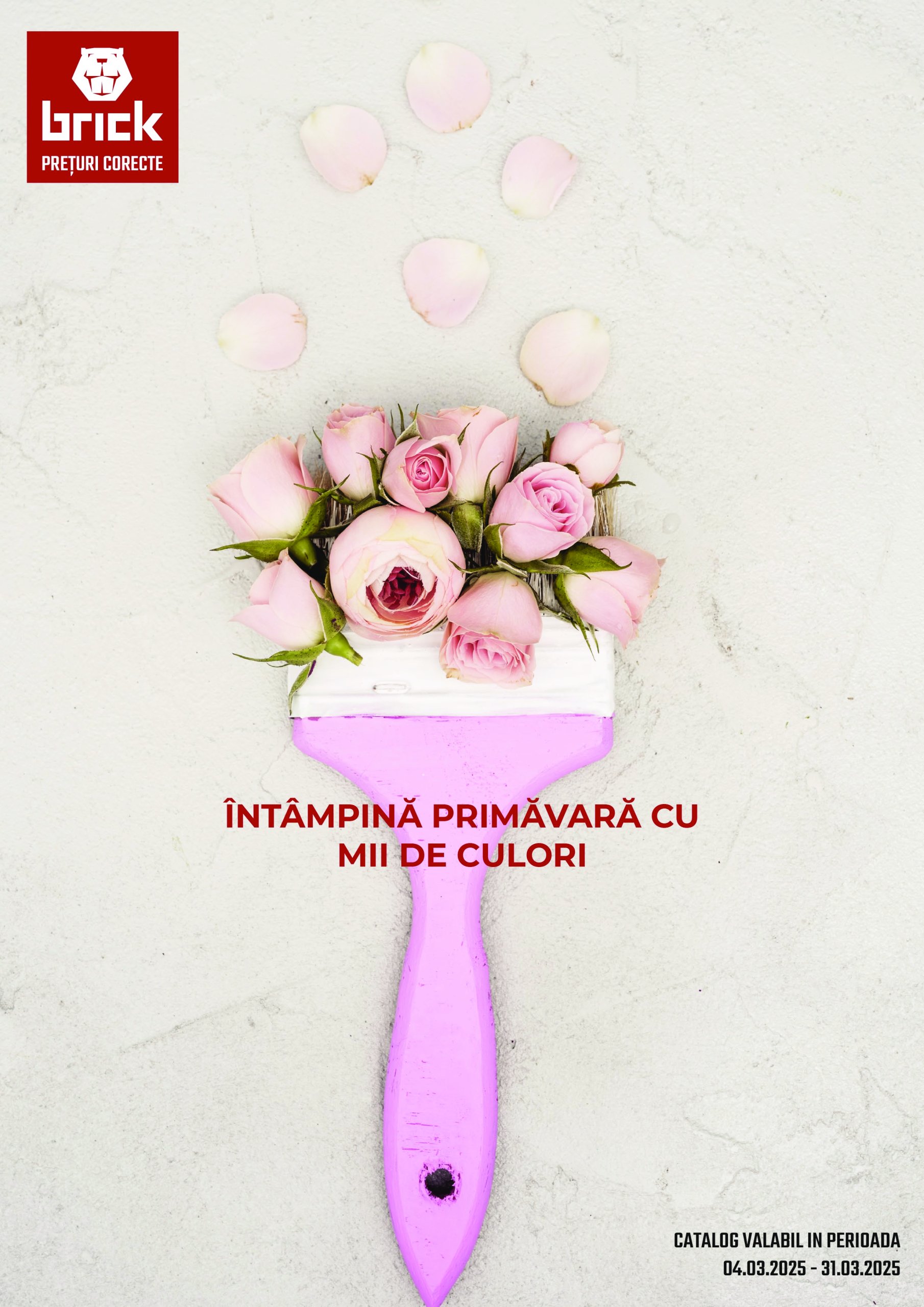 Catalog Brick valabil din 04.03. - 31.03.