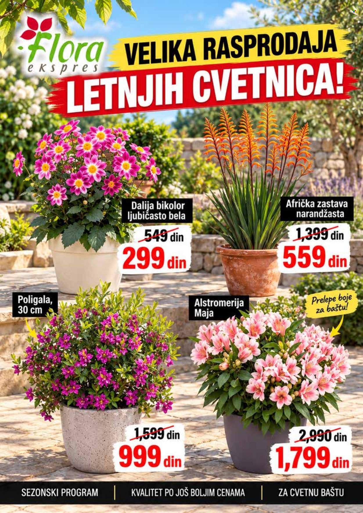 Flora Ekspres katalog oktobar 2026
