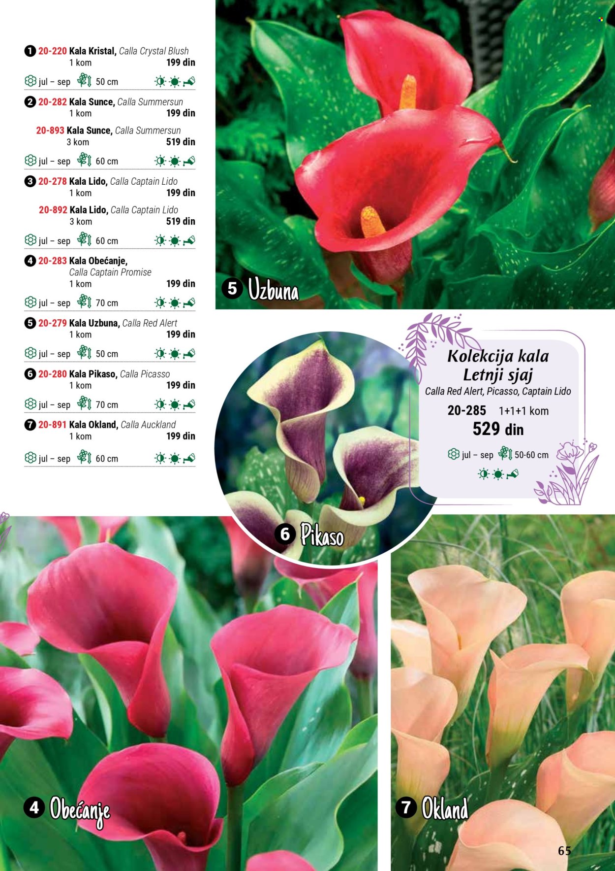 undefined 65