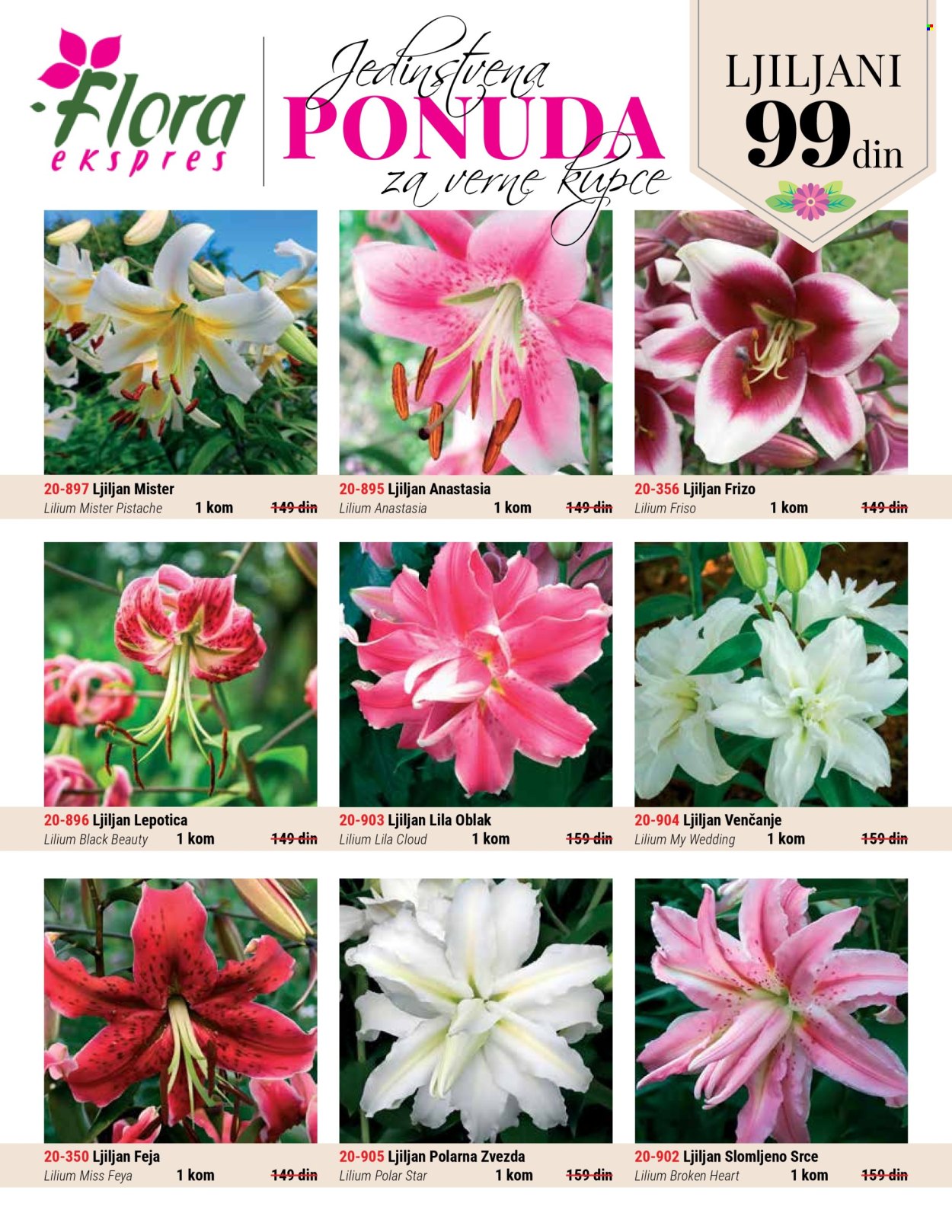 Flora Ekspres katalog april 2025