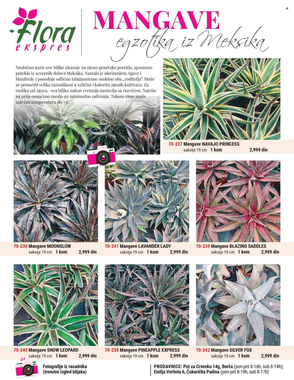 Flora Ekspres katalog jun 2025