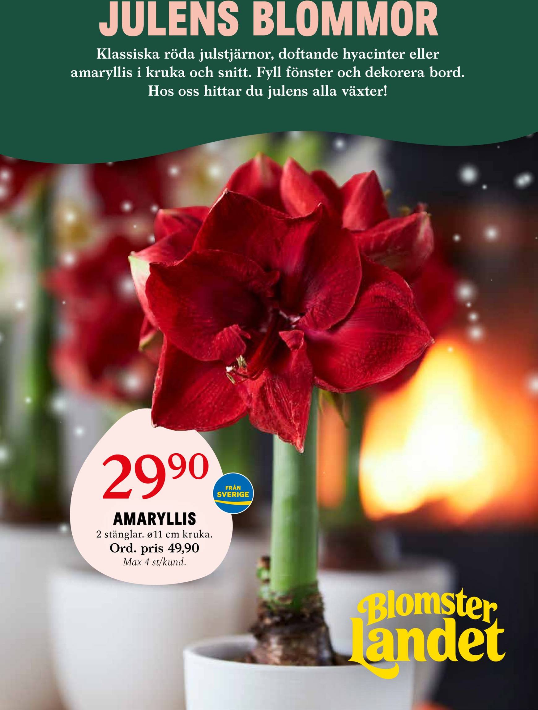 Blomster Landet-reklambladet är giltigt från 02/12 - 08/12