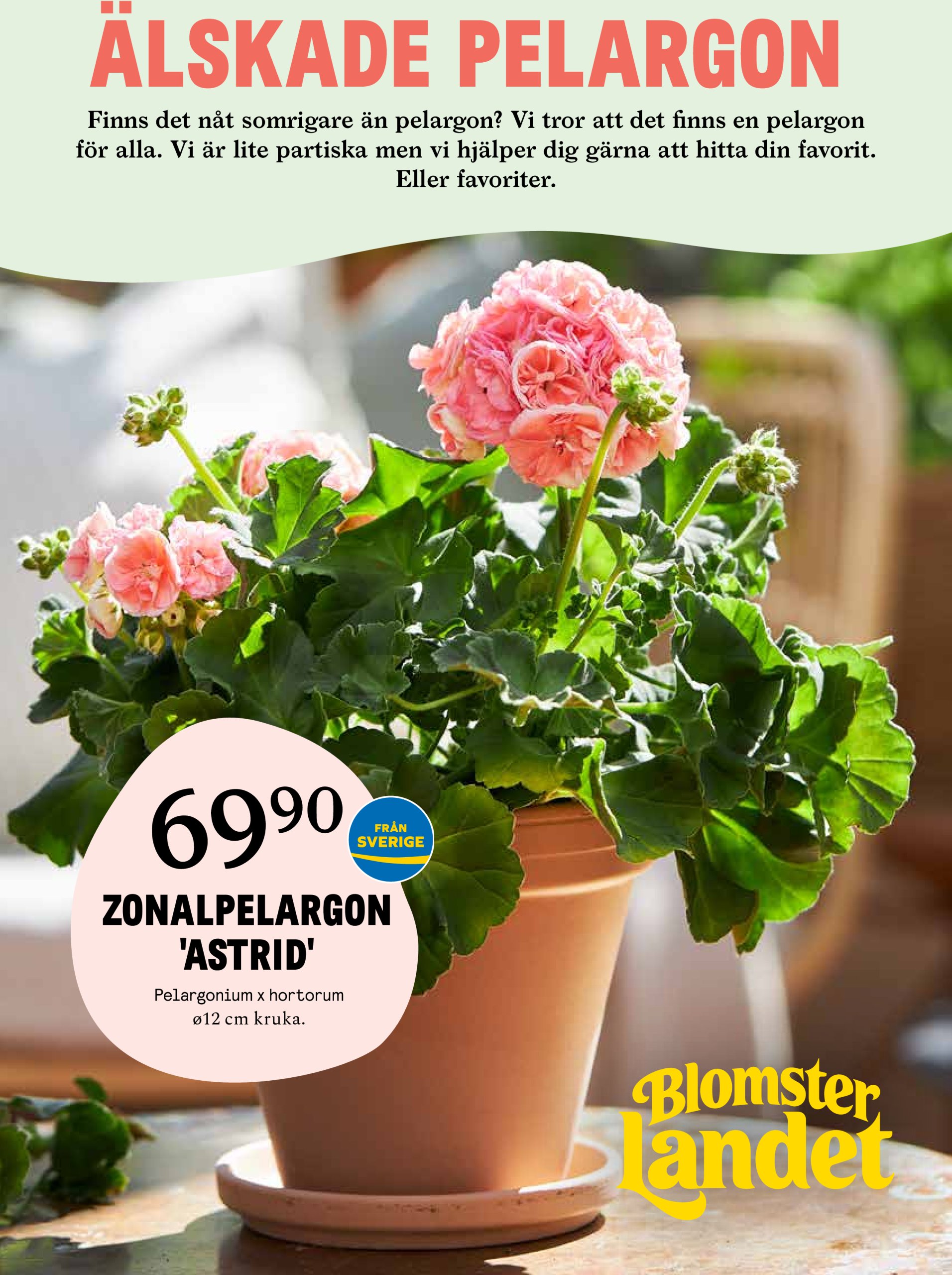 Blomster Landet-reklambladet giltigt från 23/03 - 30/03