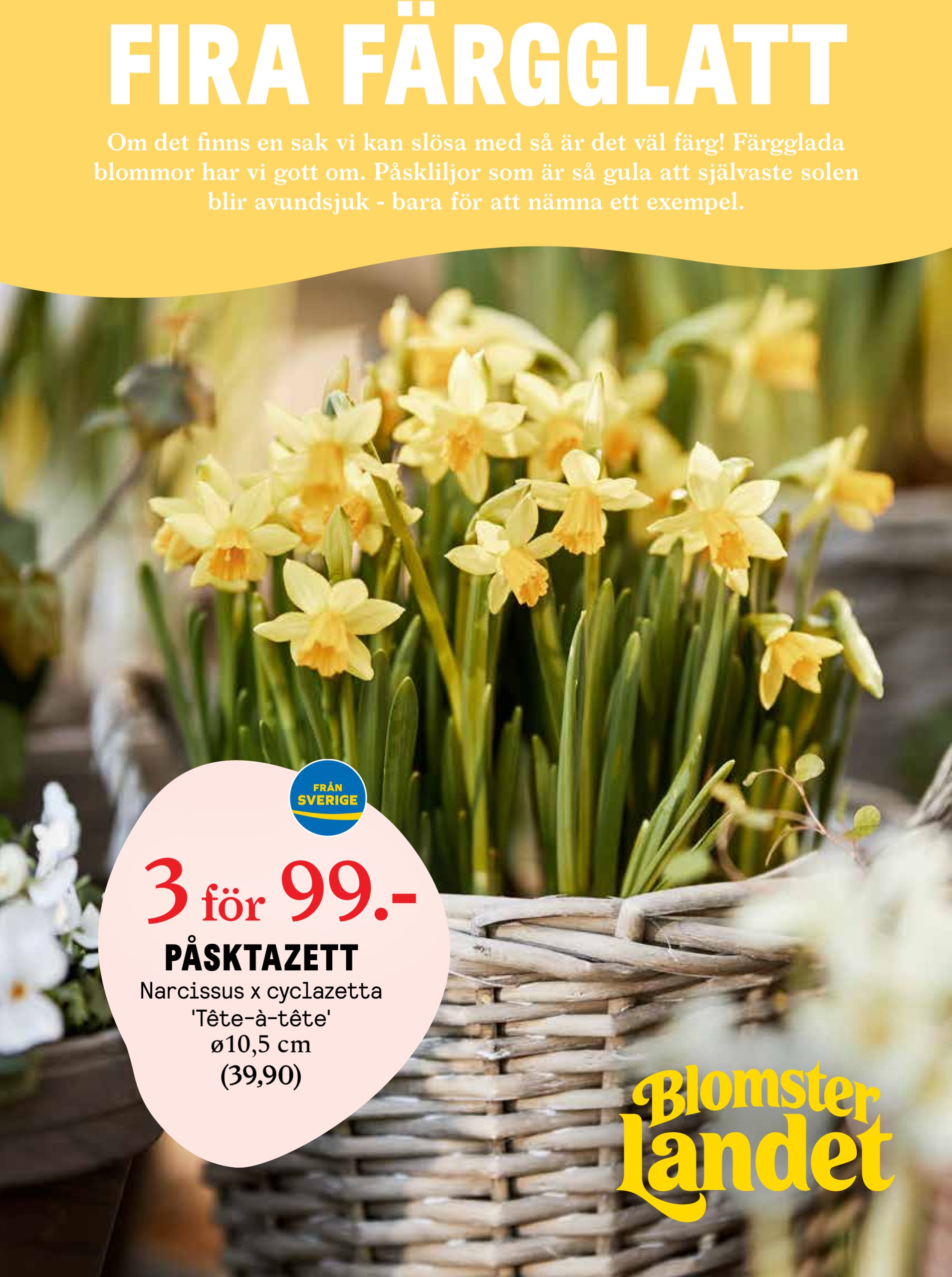 Blomster Landet-reklambladet giltigt från 31/03 - 06/04
