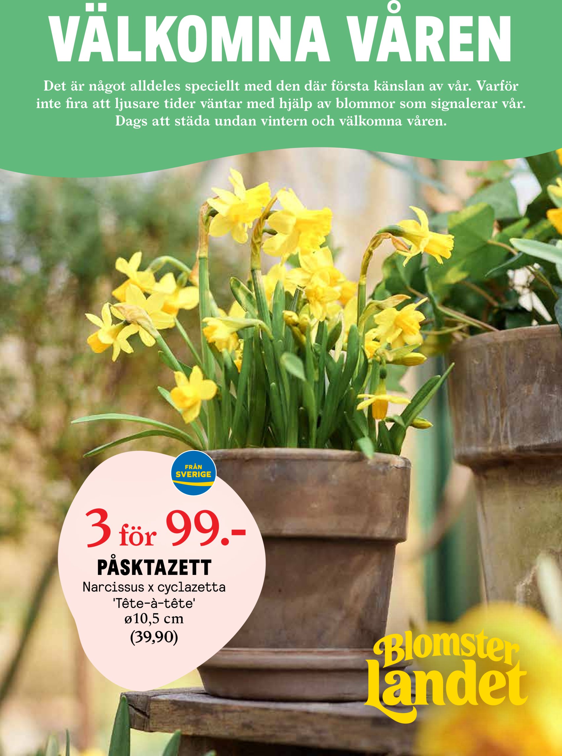 Blomster Landet-reklambladet giltigt från 07/04 - 13/04