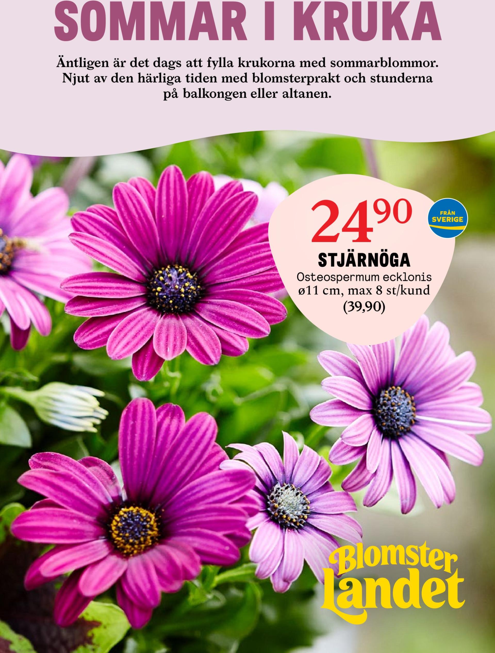 Blomster Landet-reklambladet giltigt från 05/05 - 11/05