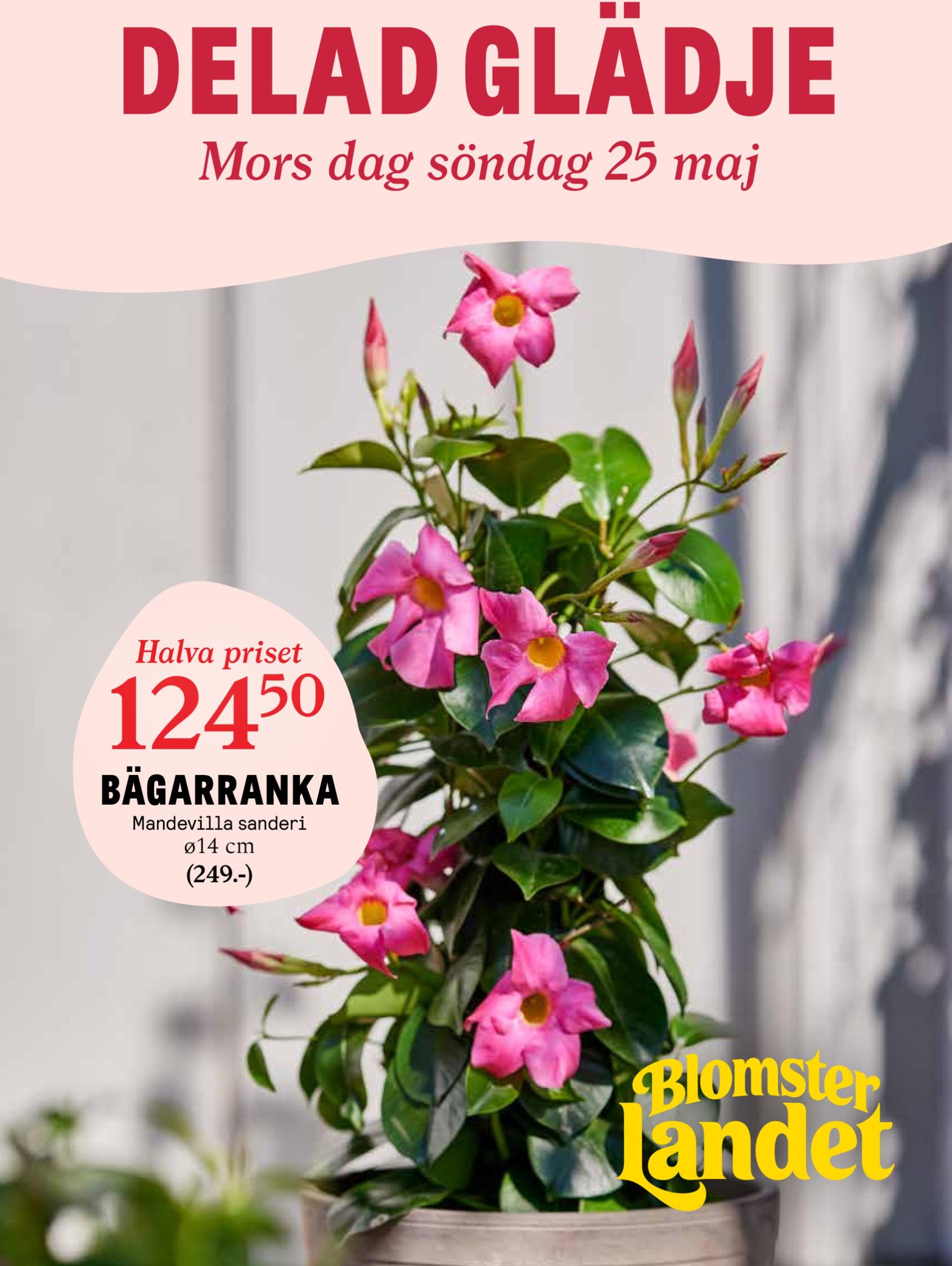 Blomster Landet-reklambladet giltigt från 19/05 - 25/05