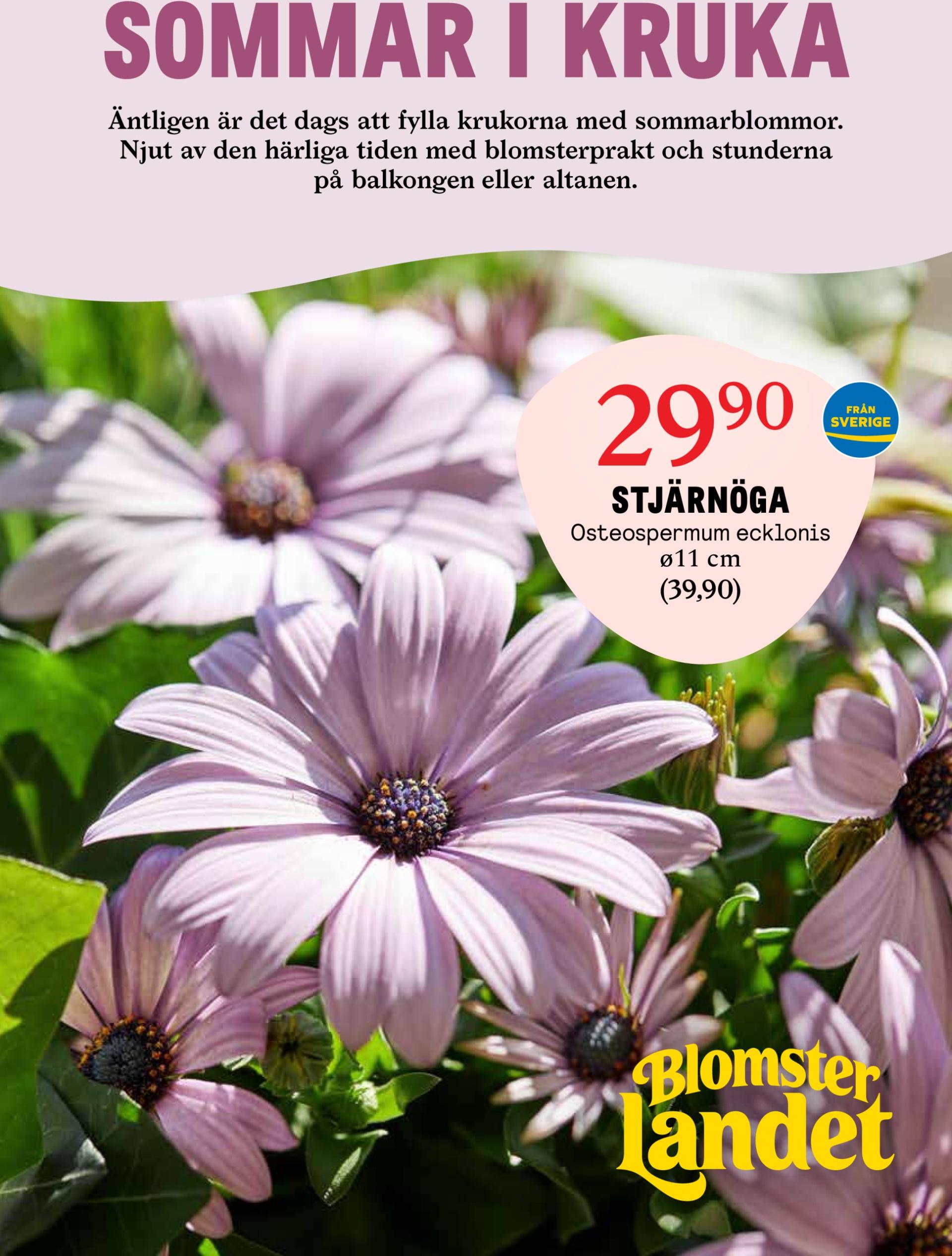 Blomster Landet-reklambladet giltigt från 26/05 - 01/06