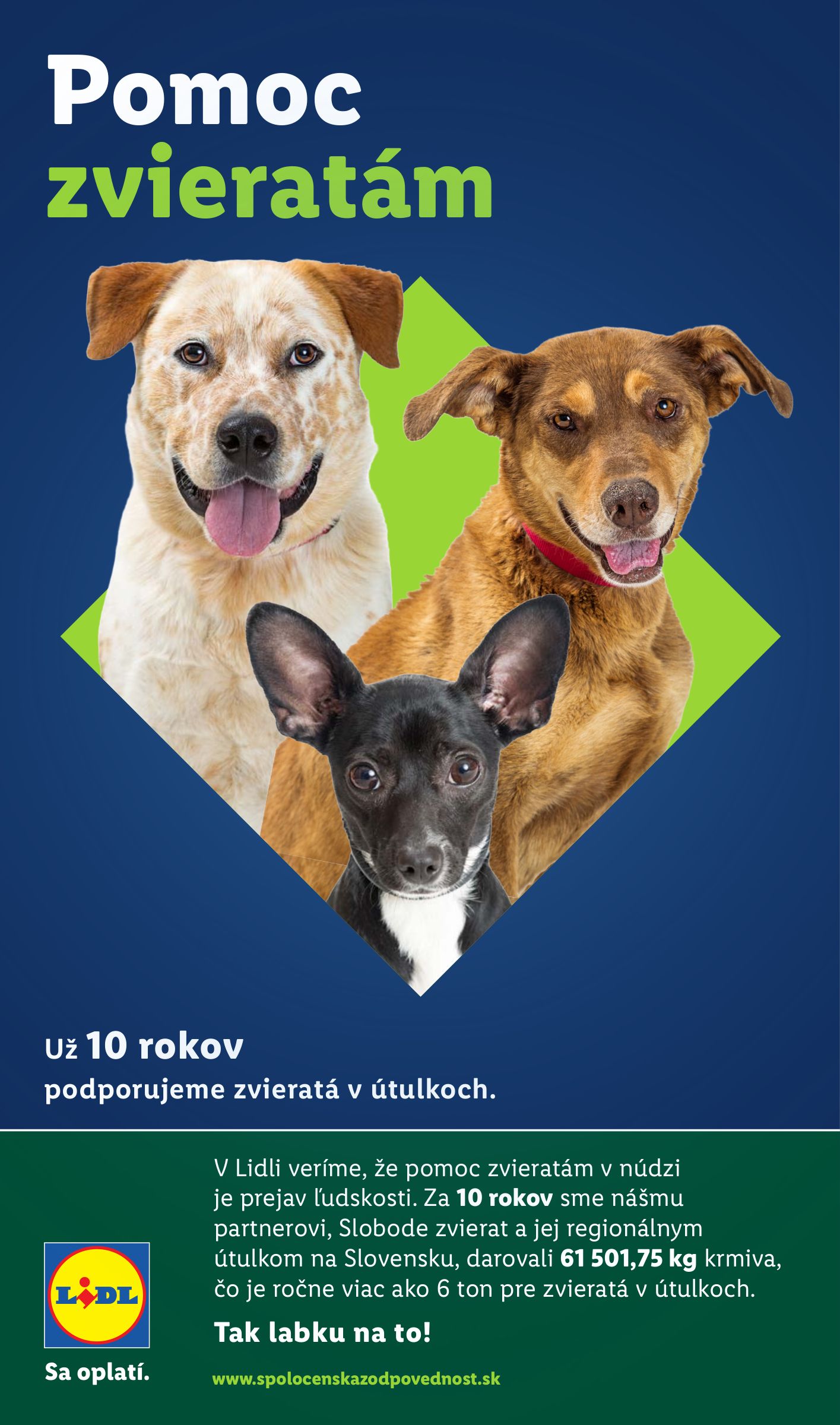 undefined 103