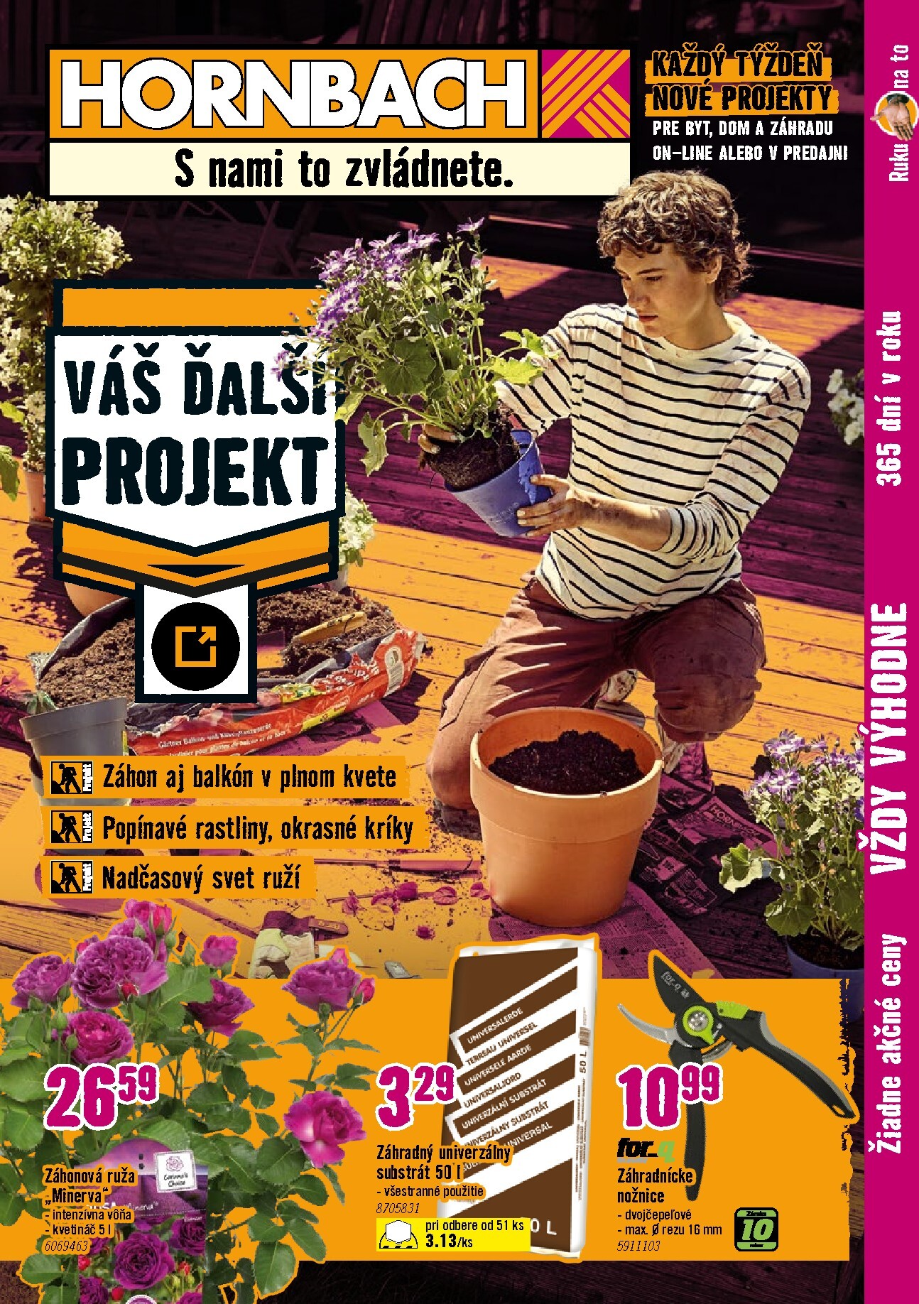 Aktuálny HORNBACH - Záhony, popínavé rastliny, nadčasový svet ruží leták od stredy, 15.07.2026 do stredy, 29.07.2026