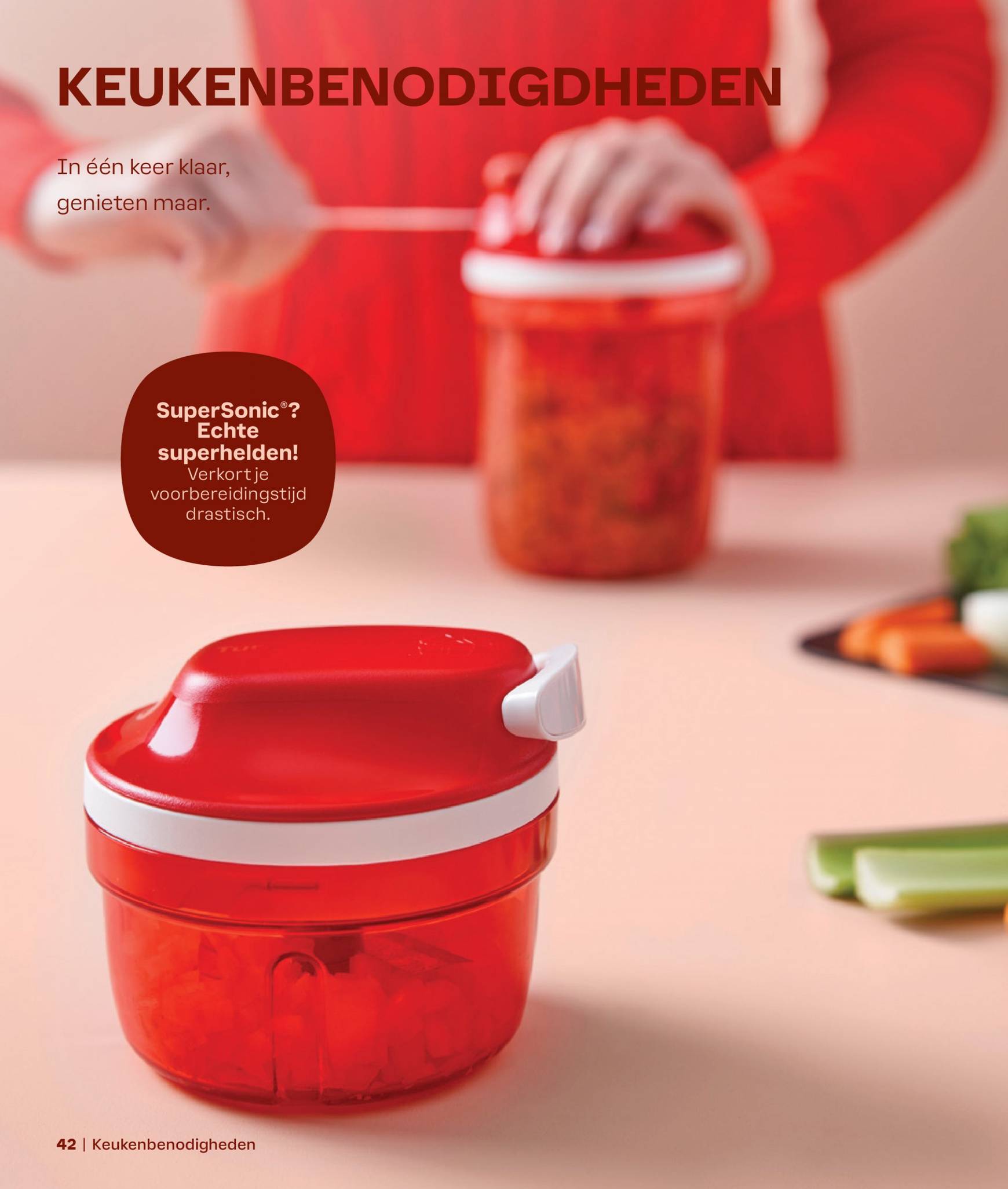 Tupperware - Herfst, Winter folder huidig 01.09. - 28.02. 42