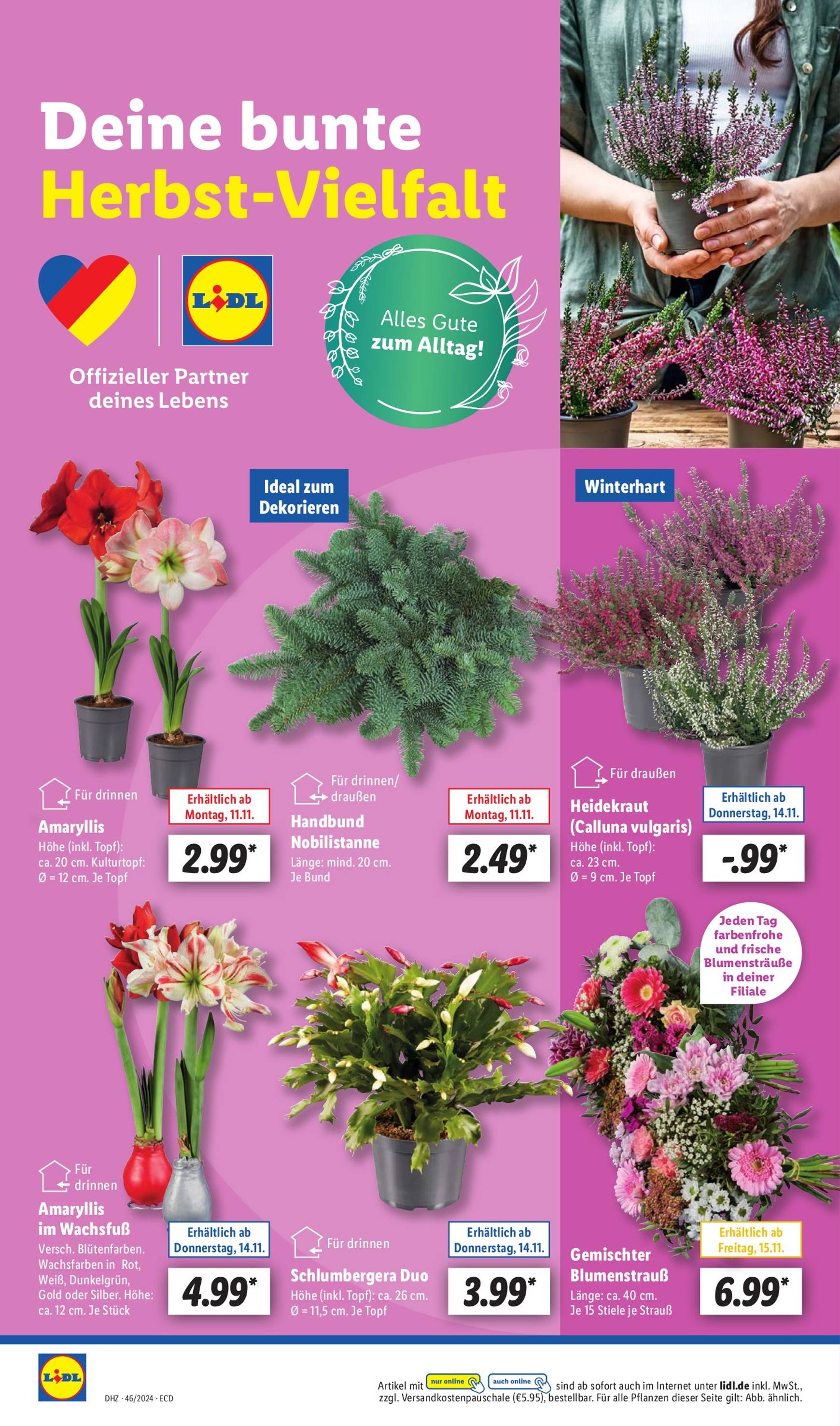 Lidl-Prospekt gültig von 11.11. bis 16.11. 24