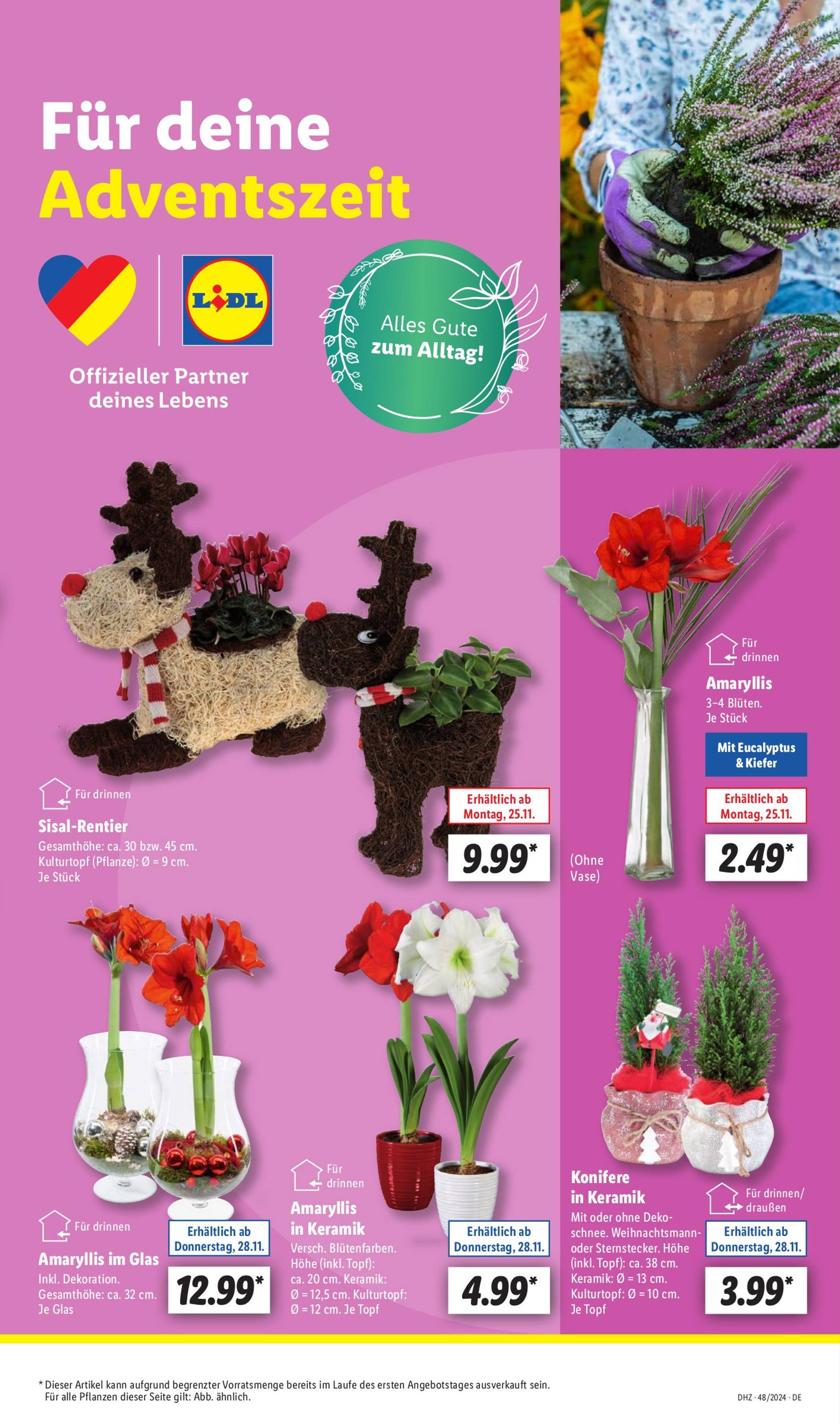 Lidl-Prospekt gültig von 25.11. bis 30.11. 5