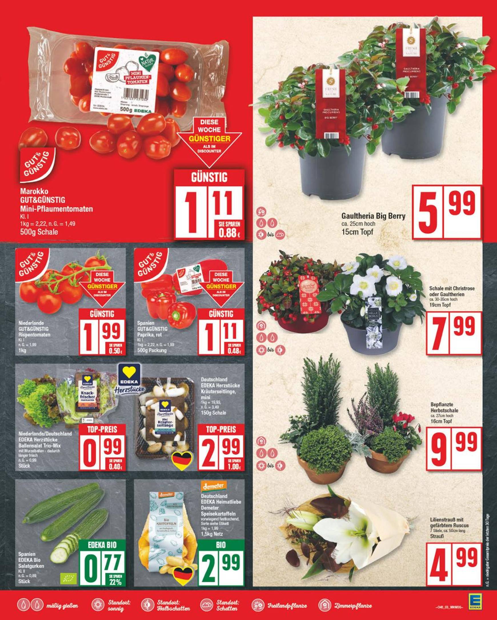 Edeka-Prospekt gültig von 11.11. bis 16.11. 3