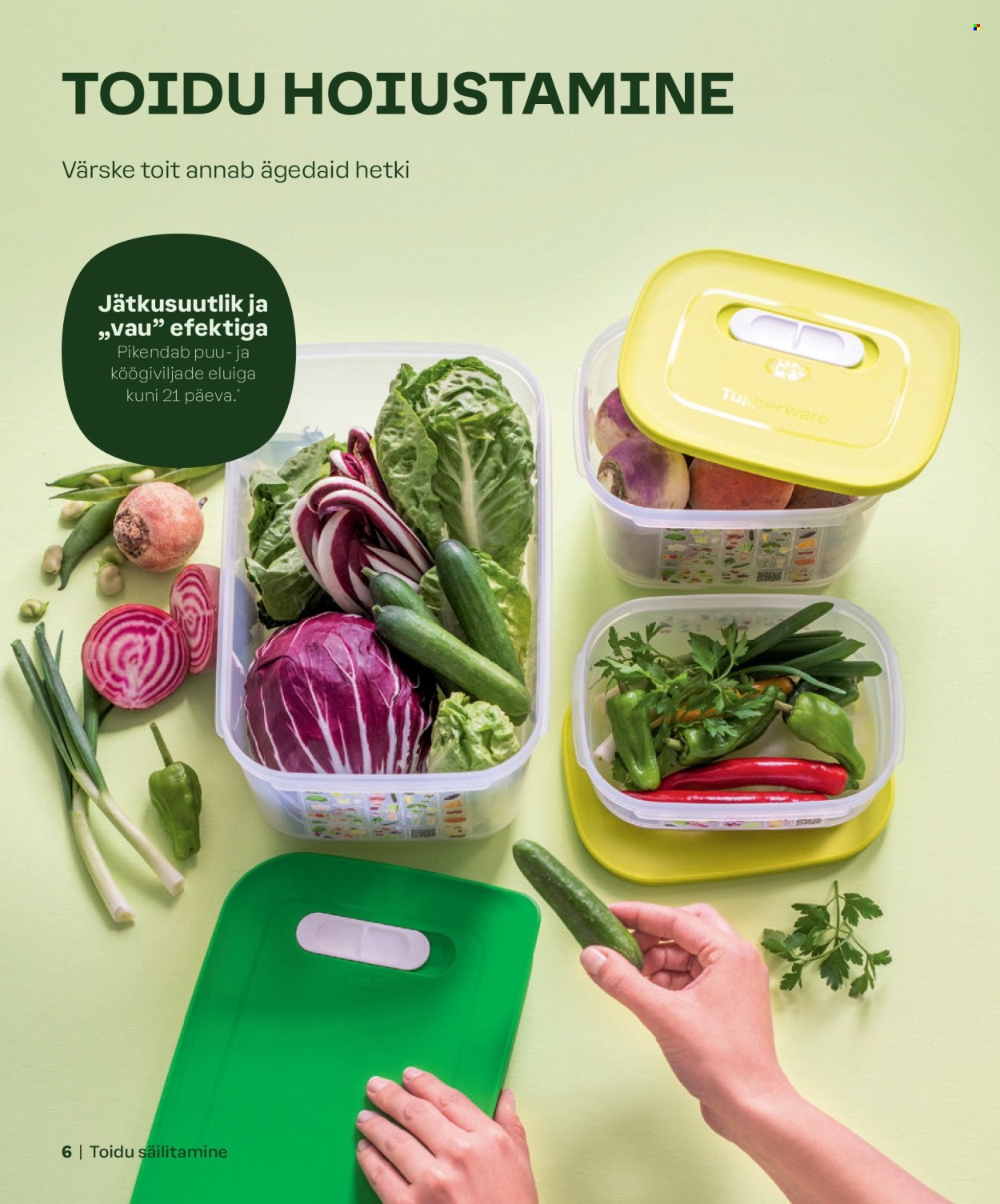 Tupperware kliendileht - KEVAD & SUVI 2024 6