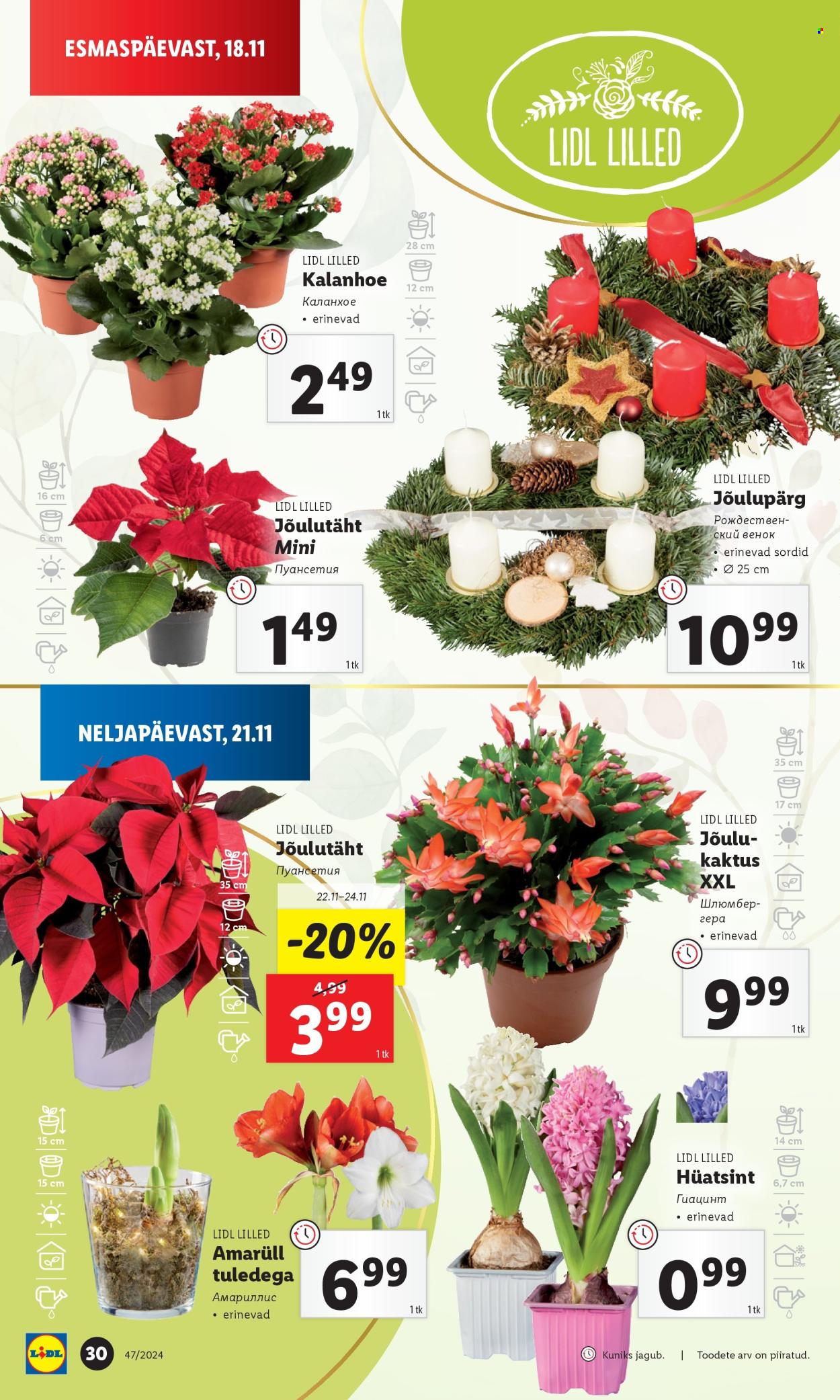 Lidl kliendileht - Kliendileht (21.11 - 24.11.2024) 30