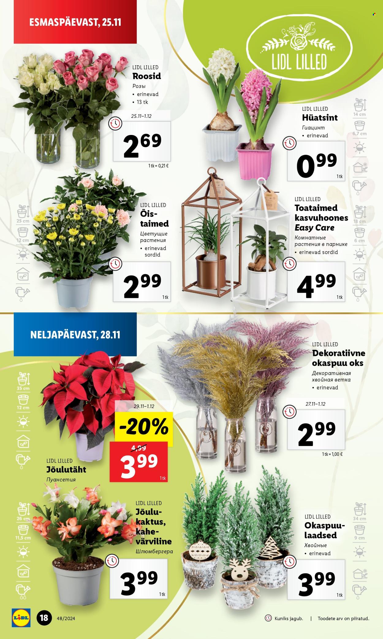 Lidl kliendileht (25.11 - 1.12.2024) 18