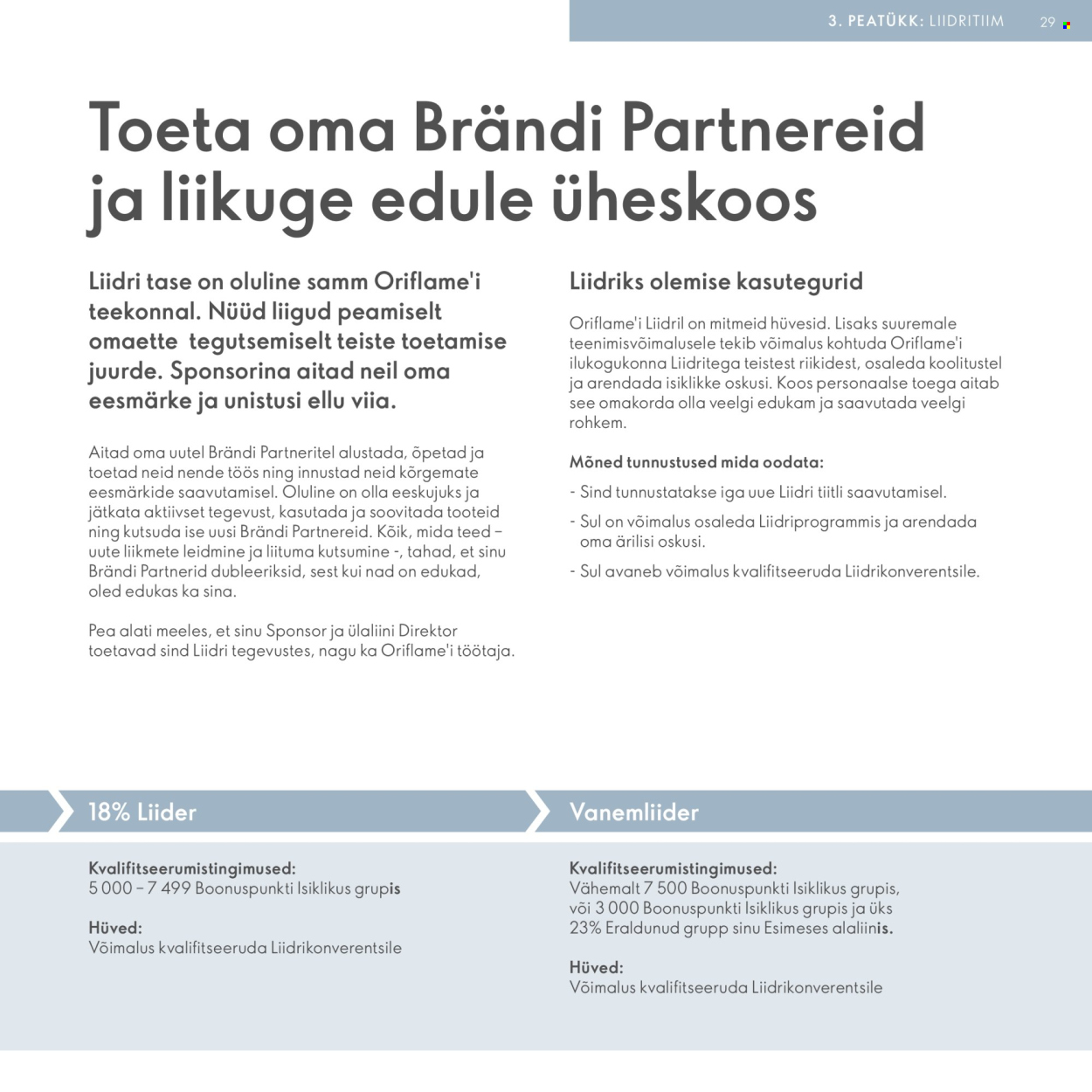 Oriflame kliendileht - Brändi Partneri Preemiaplaan 29