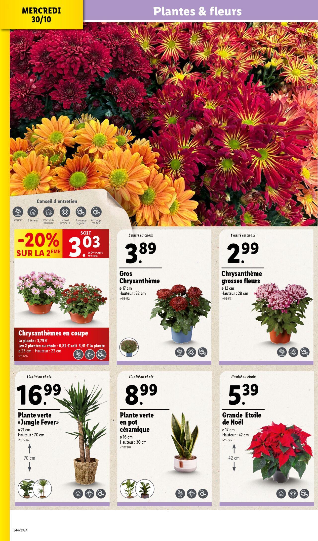 Catalogue LIDL du 30/10/2024 - 05/11/2024 6