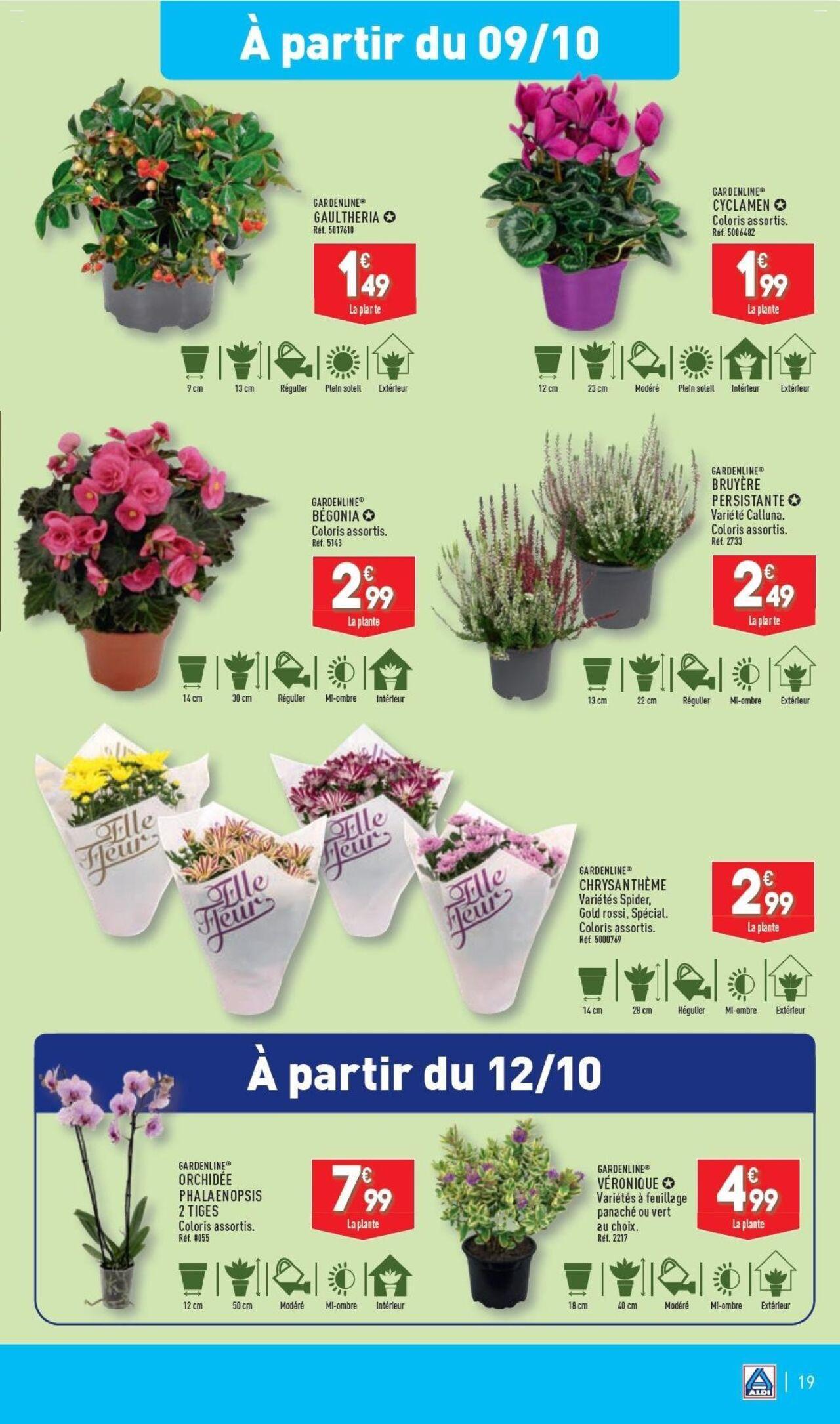 Aldi catalogue semaine 41 à partir du 08/09/2024 - 14/10/2024 21