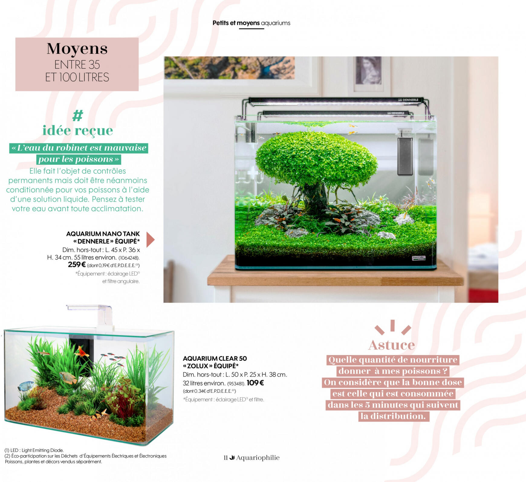 Truffaut Aquariums - Terrariums 11