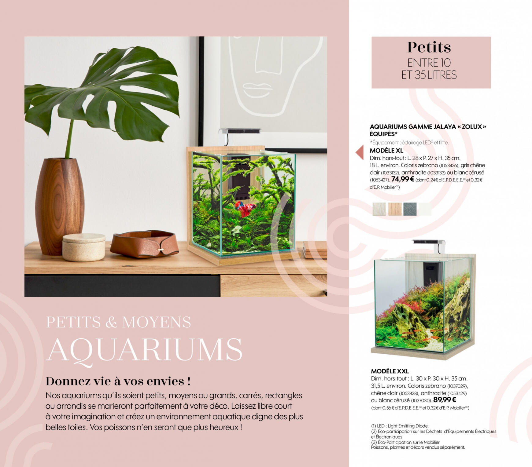 Truffaut Aquariums - Terrariums 6