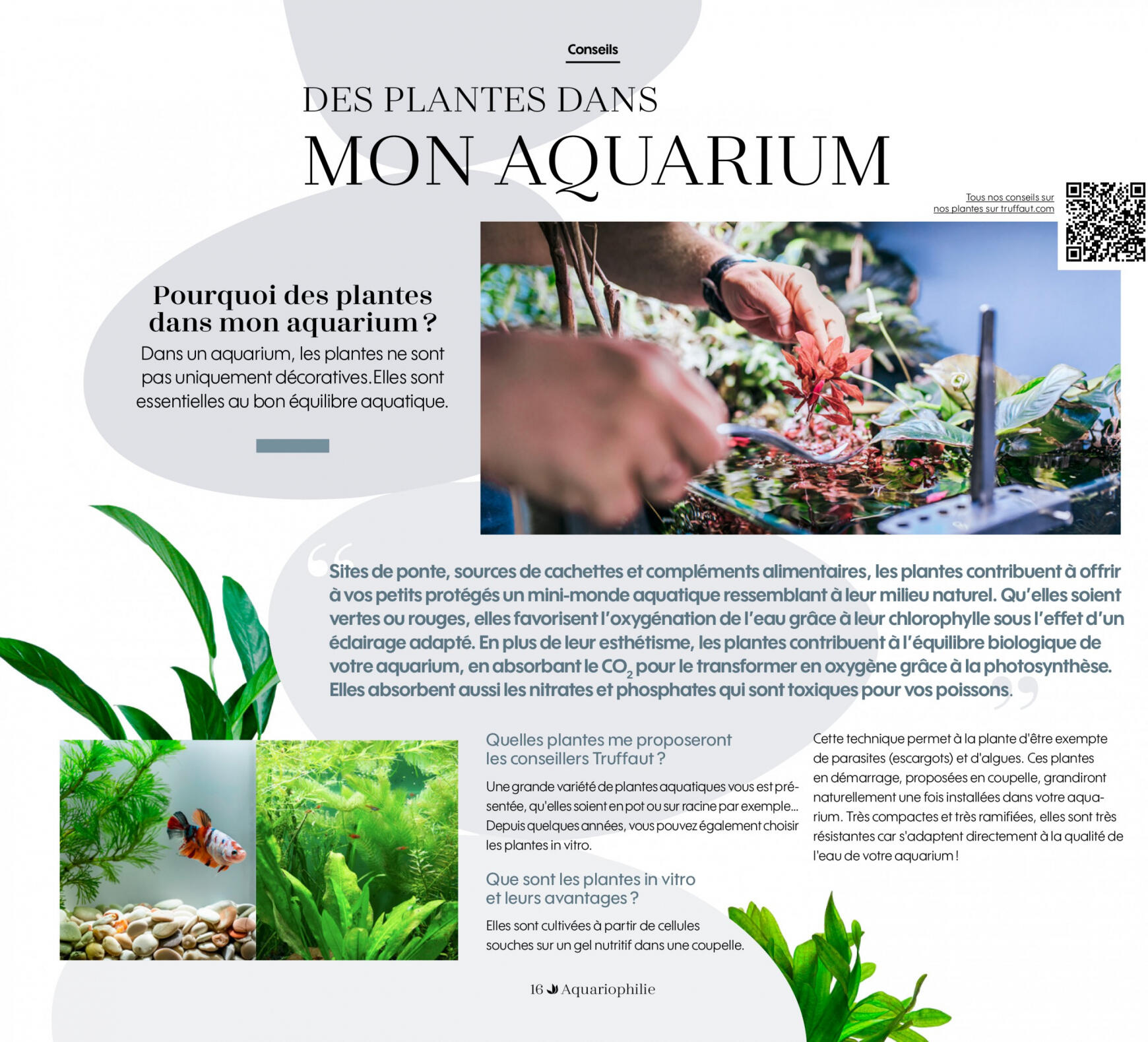 Truffaut Aquariums - Terrariums 16