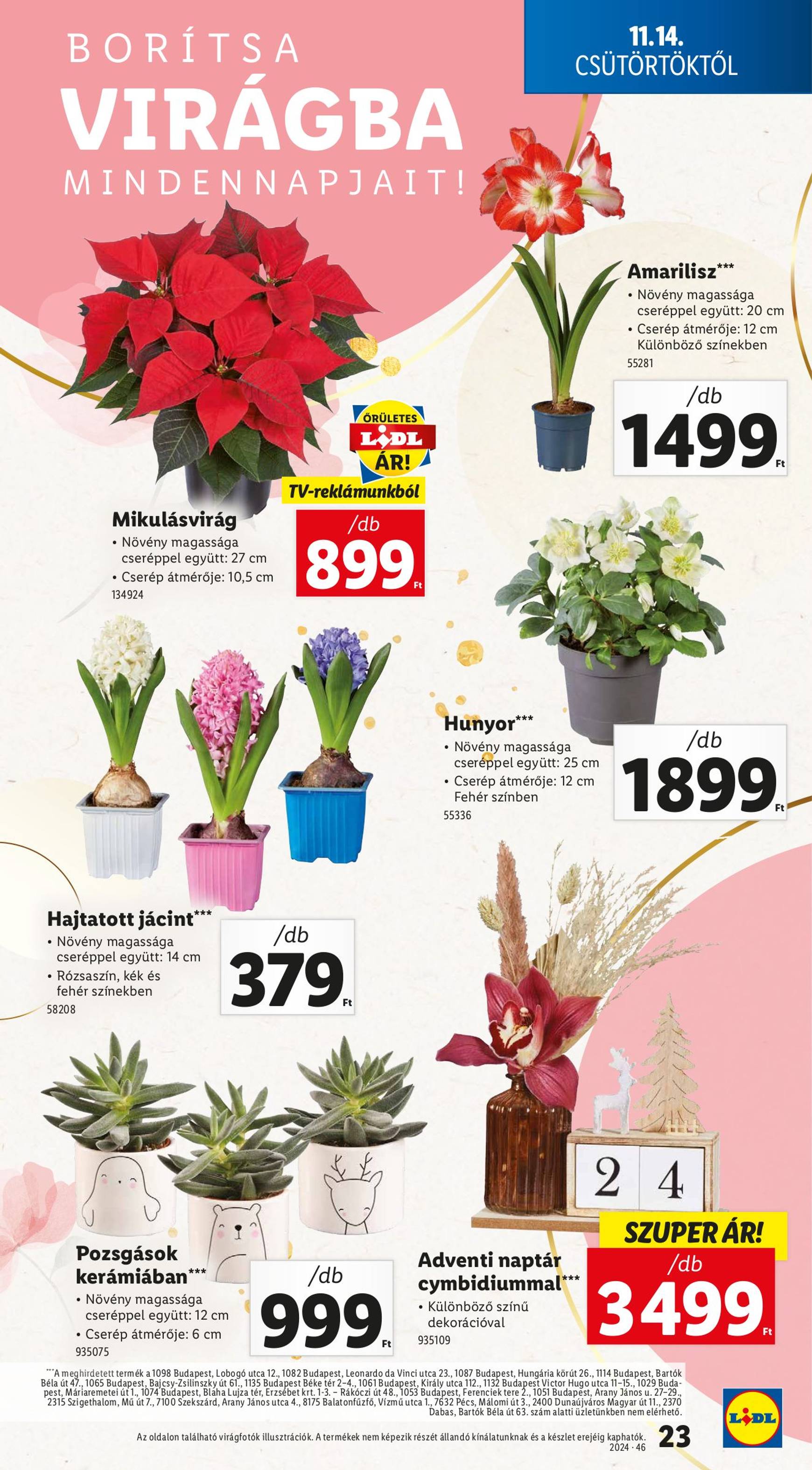 Lidl akciós újság, érvényes 11.14. - 11.20. 23