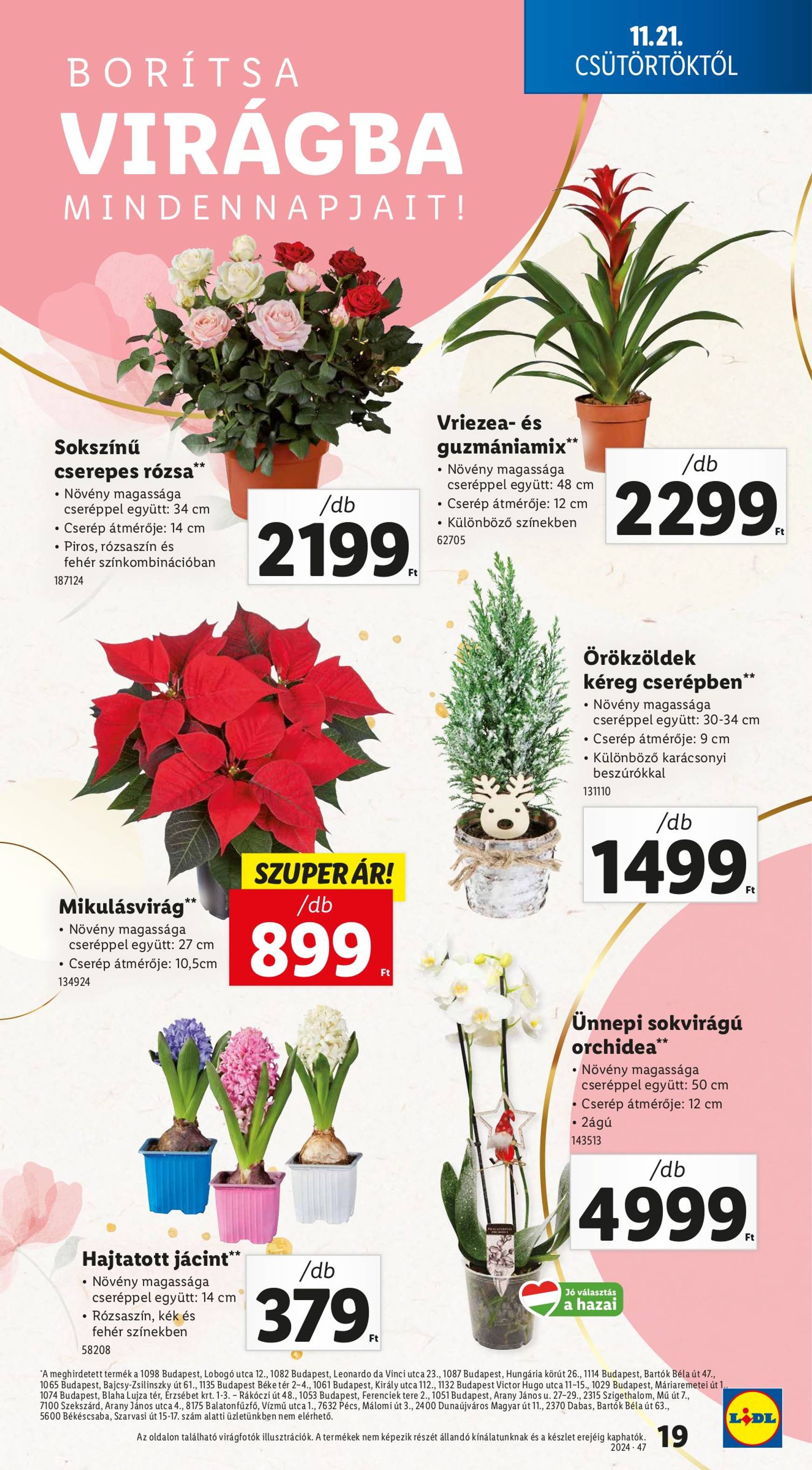 Lidl akciós újság, érvényes 11.21. - 11.27. 19