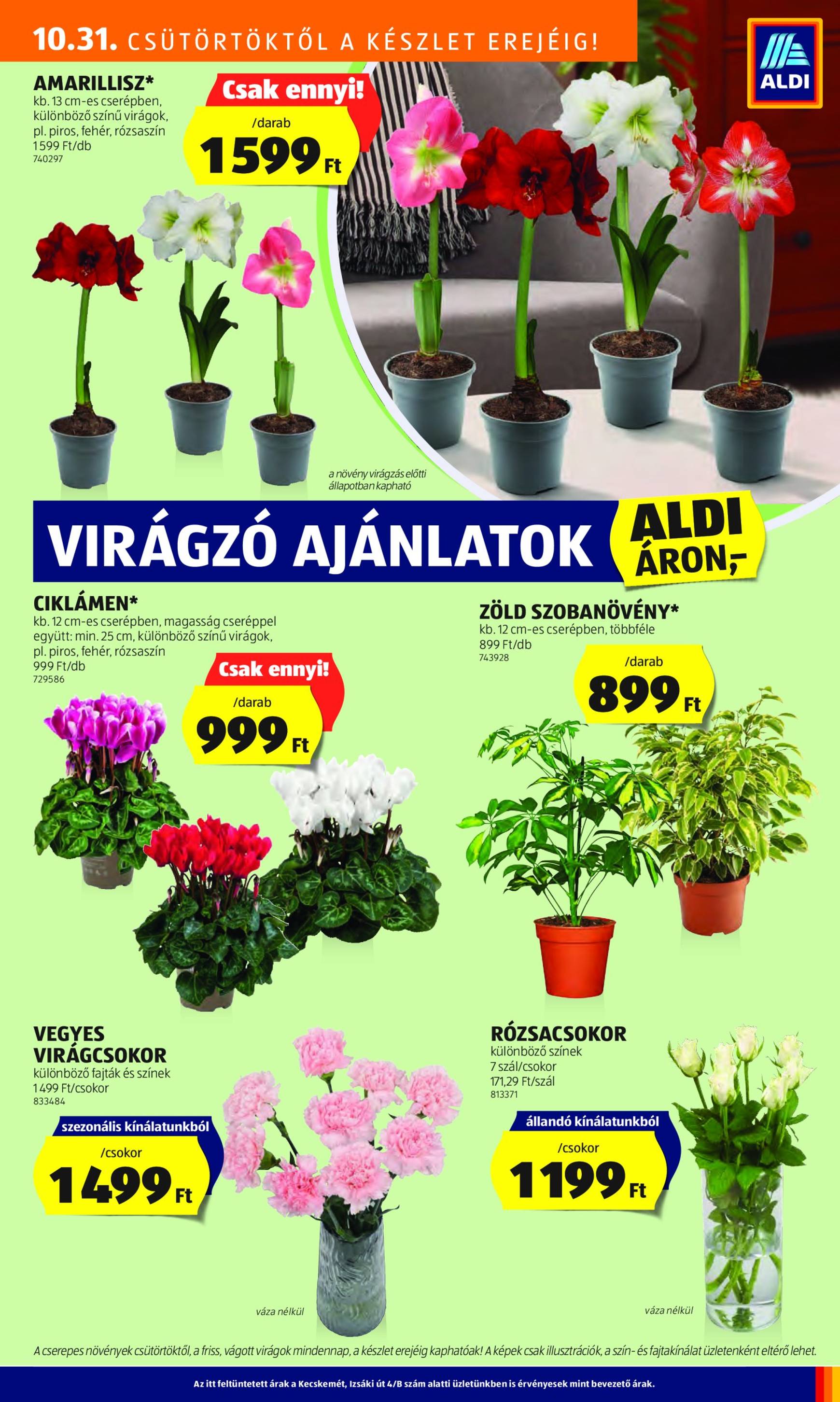 Aldi akciós újság, érvényes 10.31. - 11.06. 29