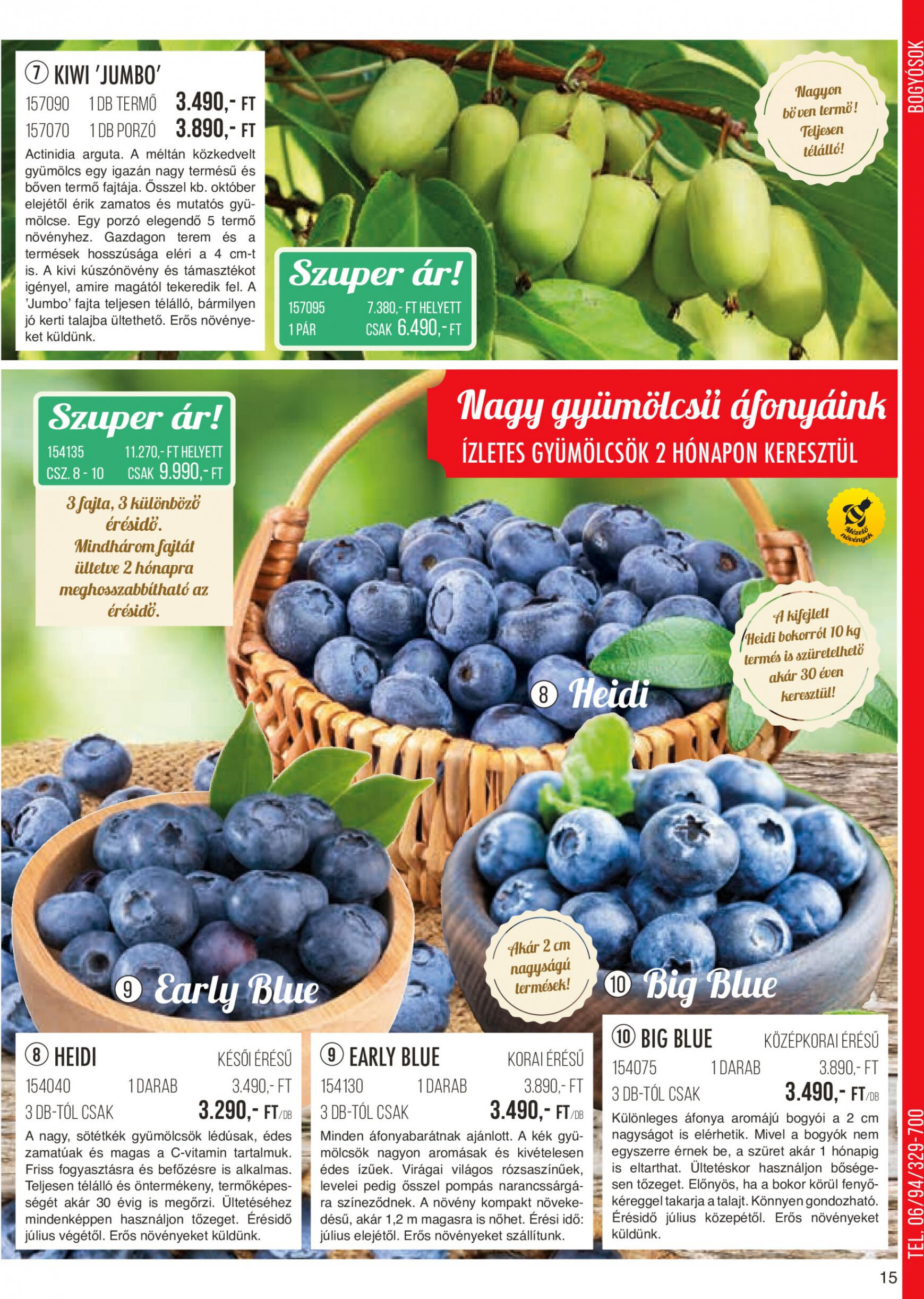 Aktuális újság Starkl 08.01. - 10.31. 15