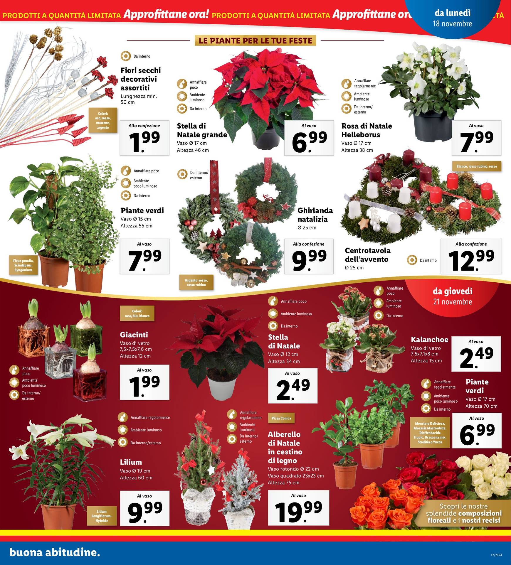 Volantino Lidl - Magico Natale valido dal 18.11. al 24.11. 17