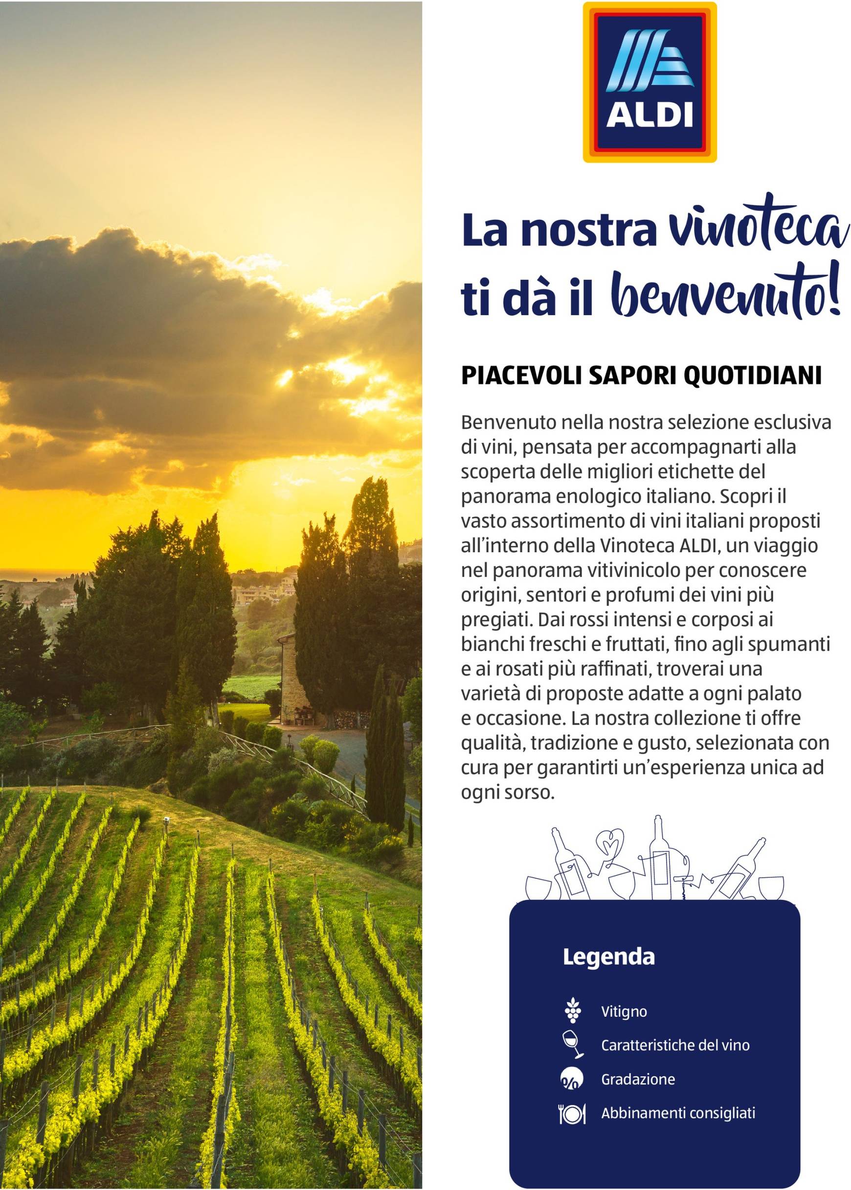 Volantino ALDI - Brochure Vinoteca valido dal 04.11. al 30.11. 2