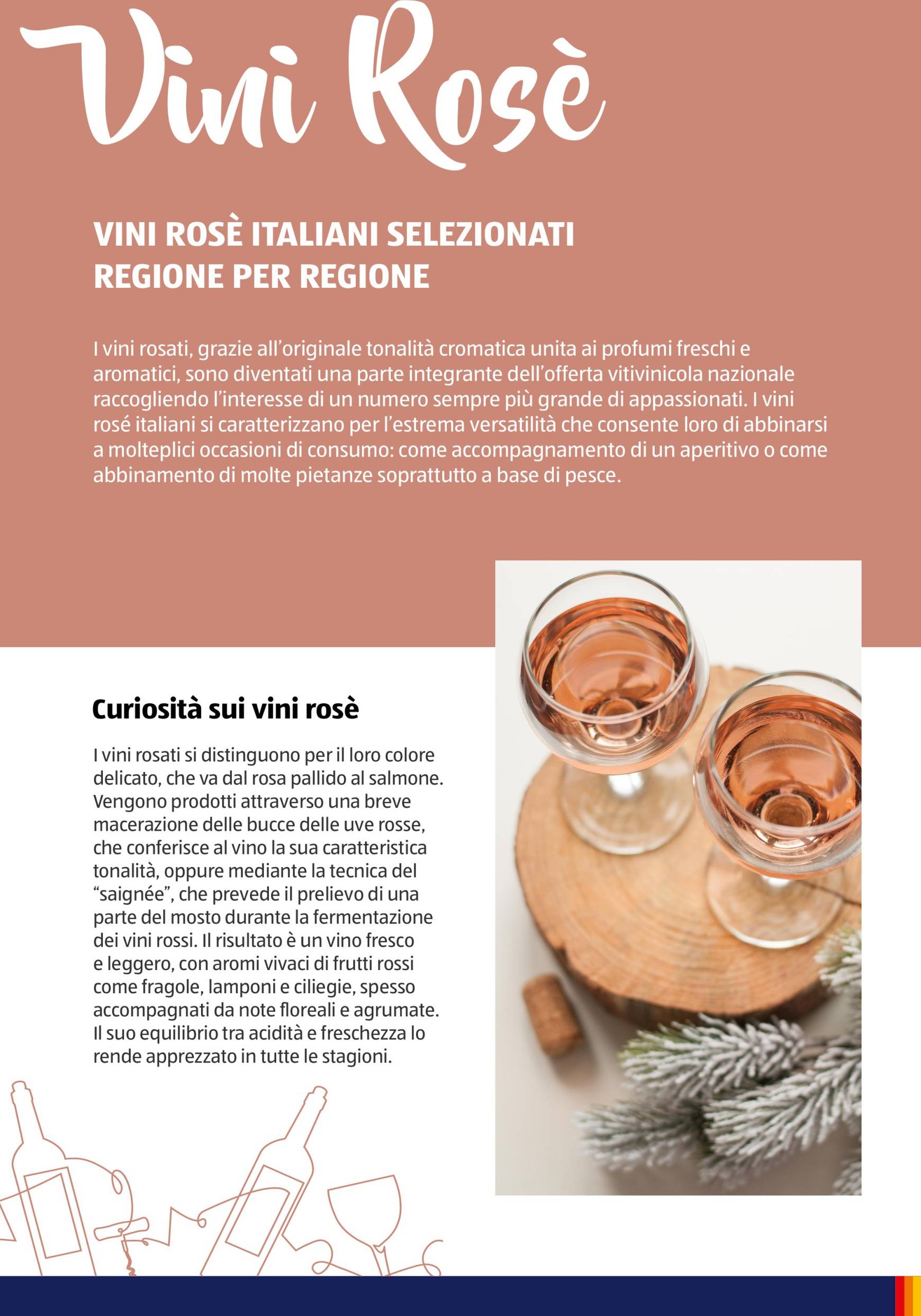 Volantino ALDI - Brochure Vinoteca valido dal 04.11. al 30.11. 38