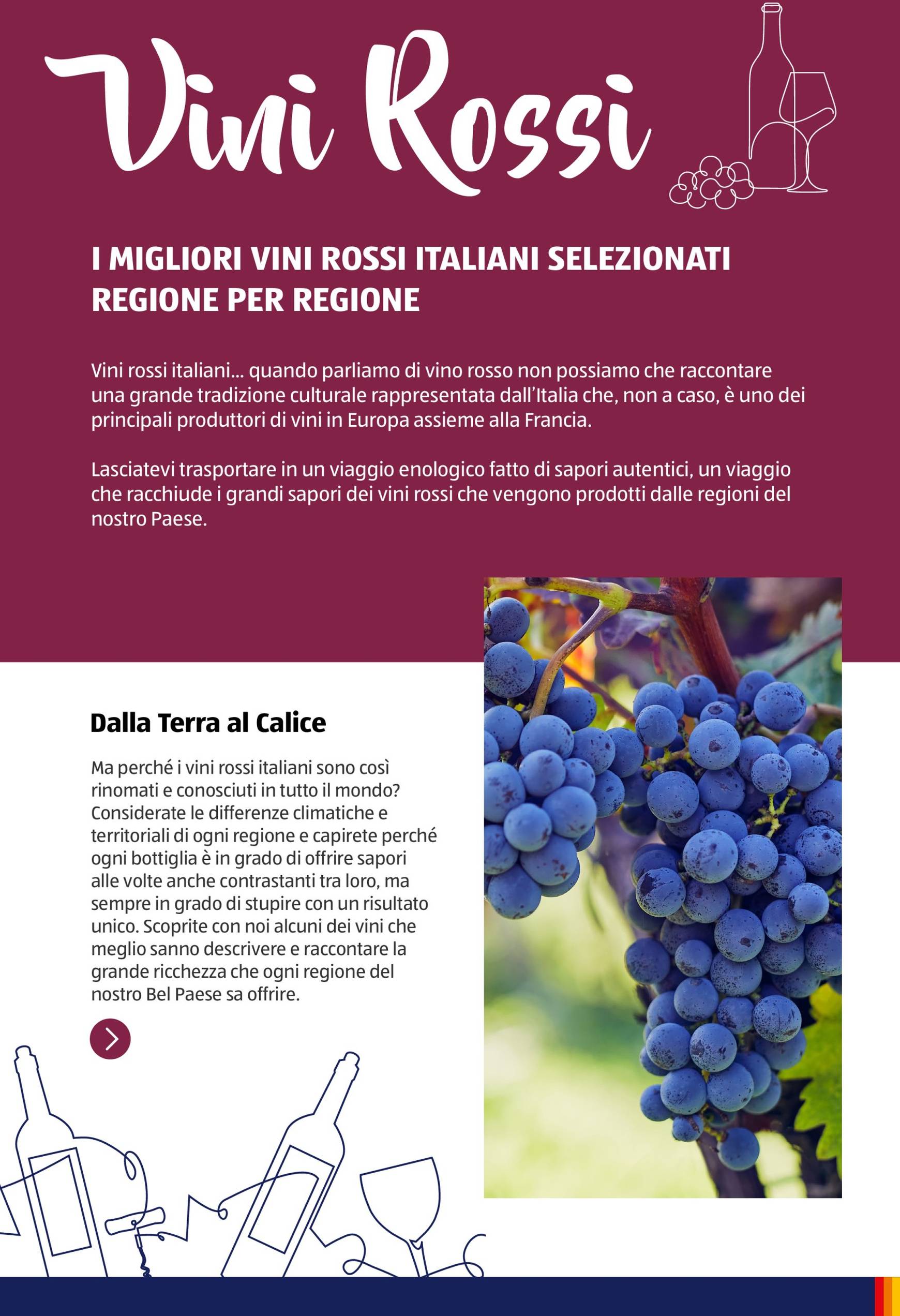 Volantino ALDI - Brochure Vinoteca valido dal 04.11. al 30.11. 6