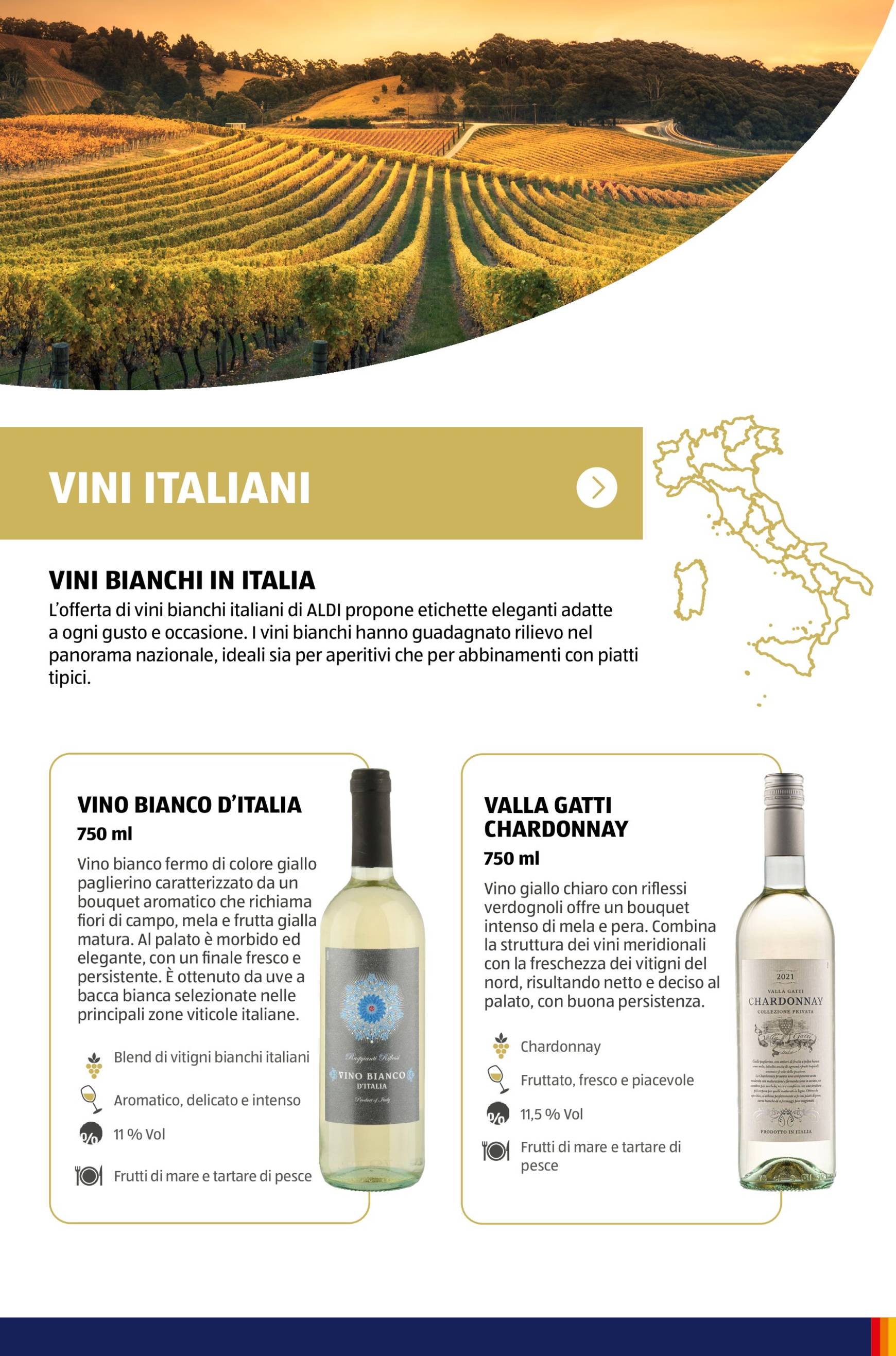 Volantino ALDI - Brochure Vinoteca valido dal 04.11. al 30.11. 35