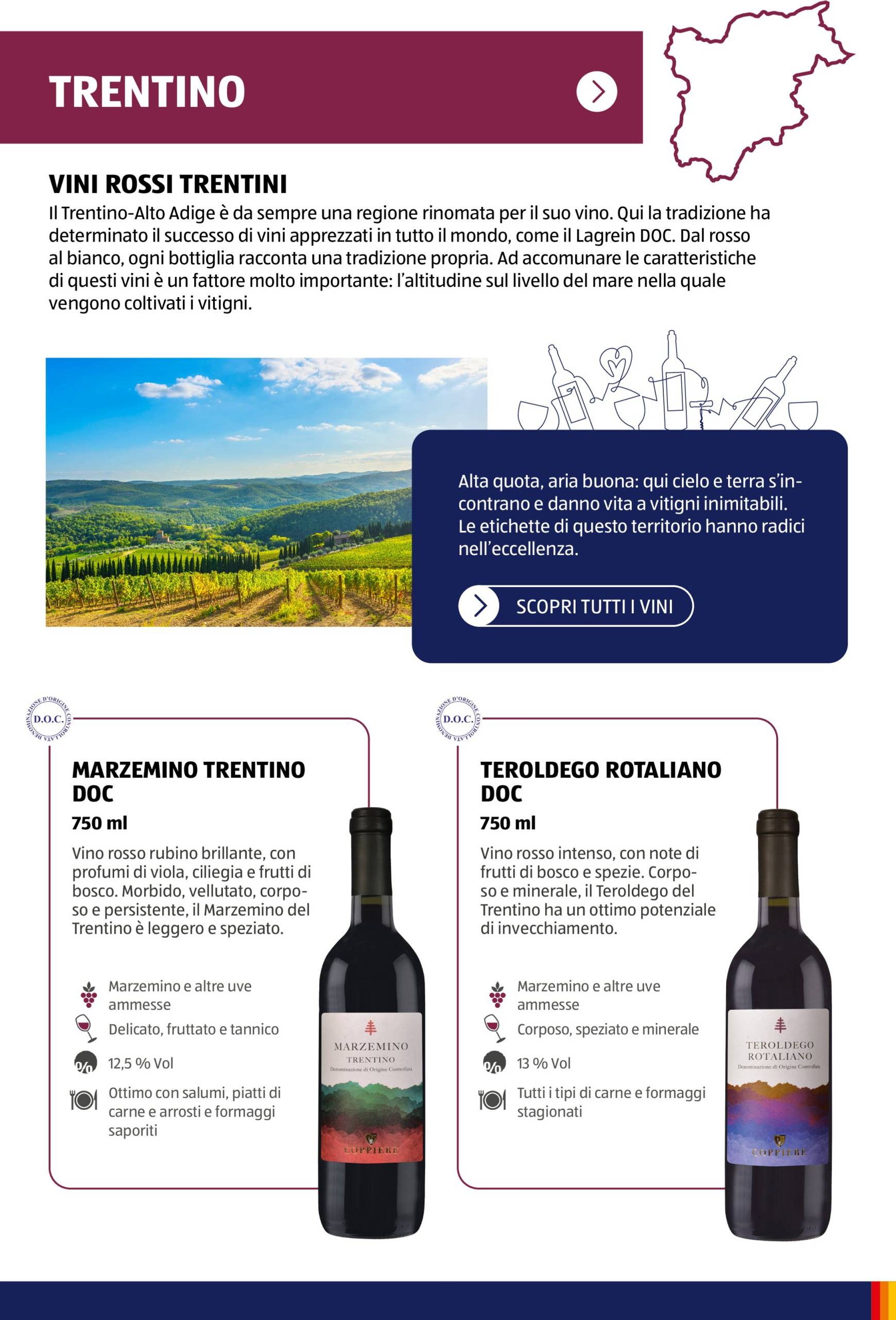 Volantino ALDI - Brochure Vinoteca valido dal 04.11. al 30.11. 14