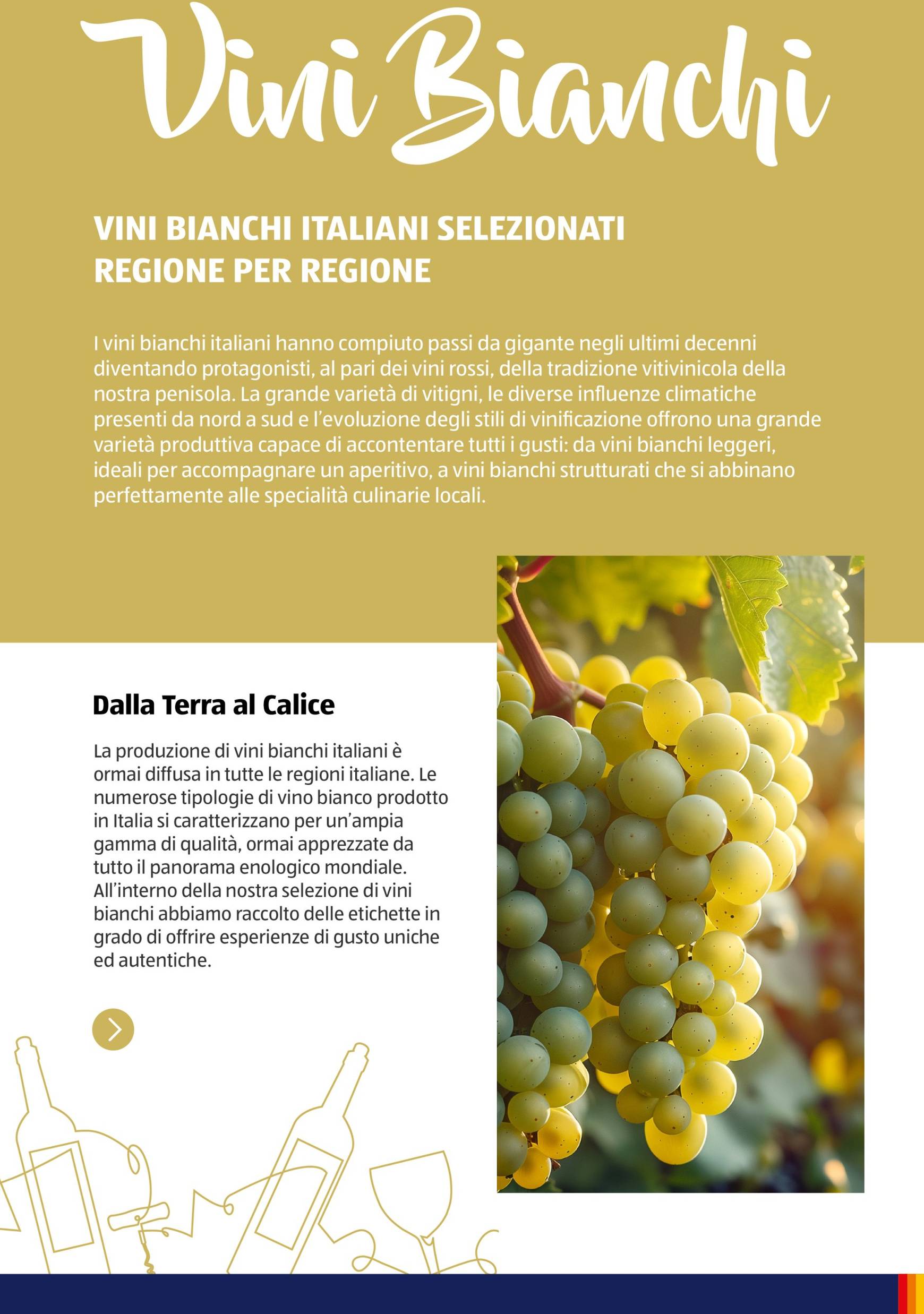 Volantino ALDI - Brochure Vinoteca valido dal 04.11. al 30.11. 26