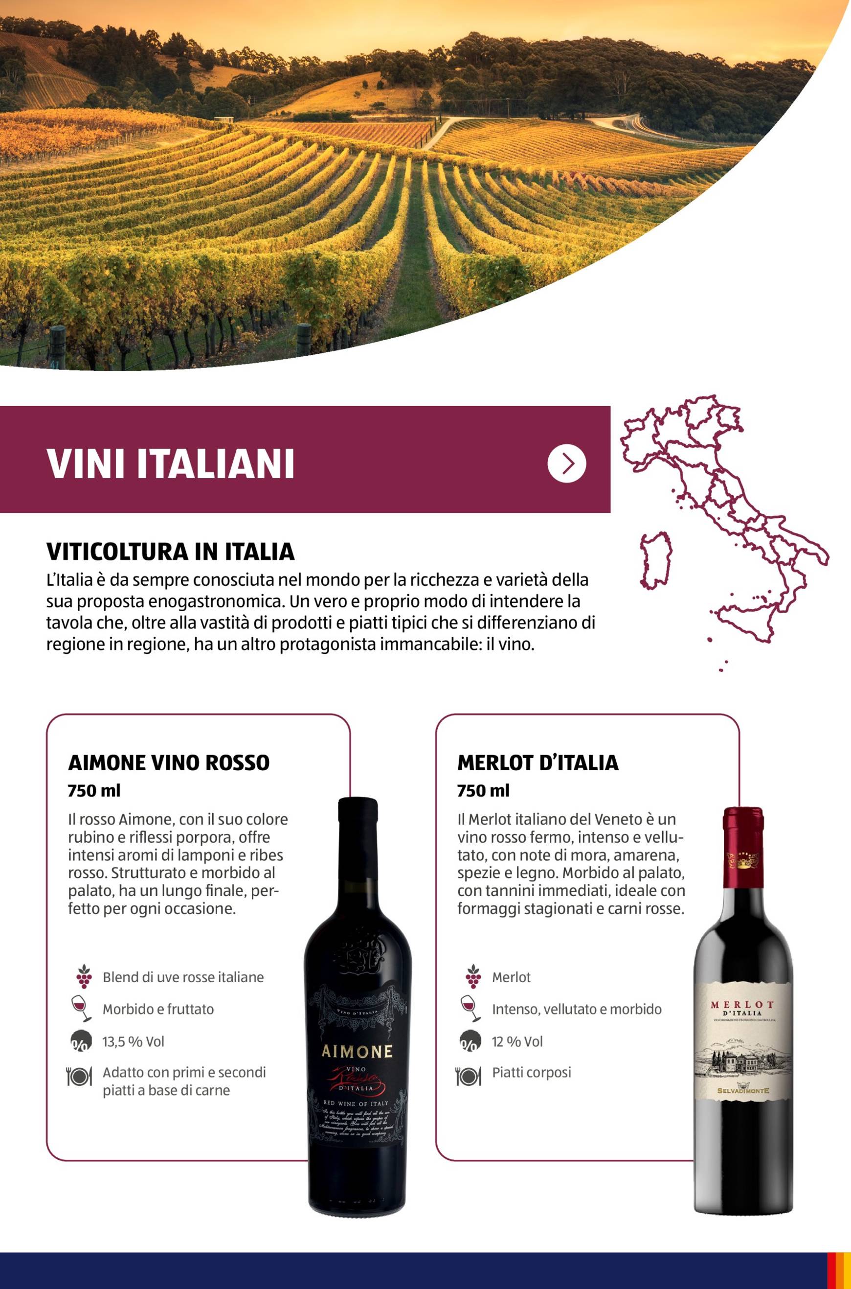 Volantino ALDI - Brochure Vinoteca valido dal 04.11. al 30.11. 24