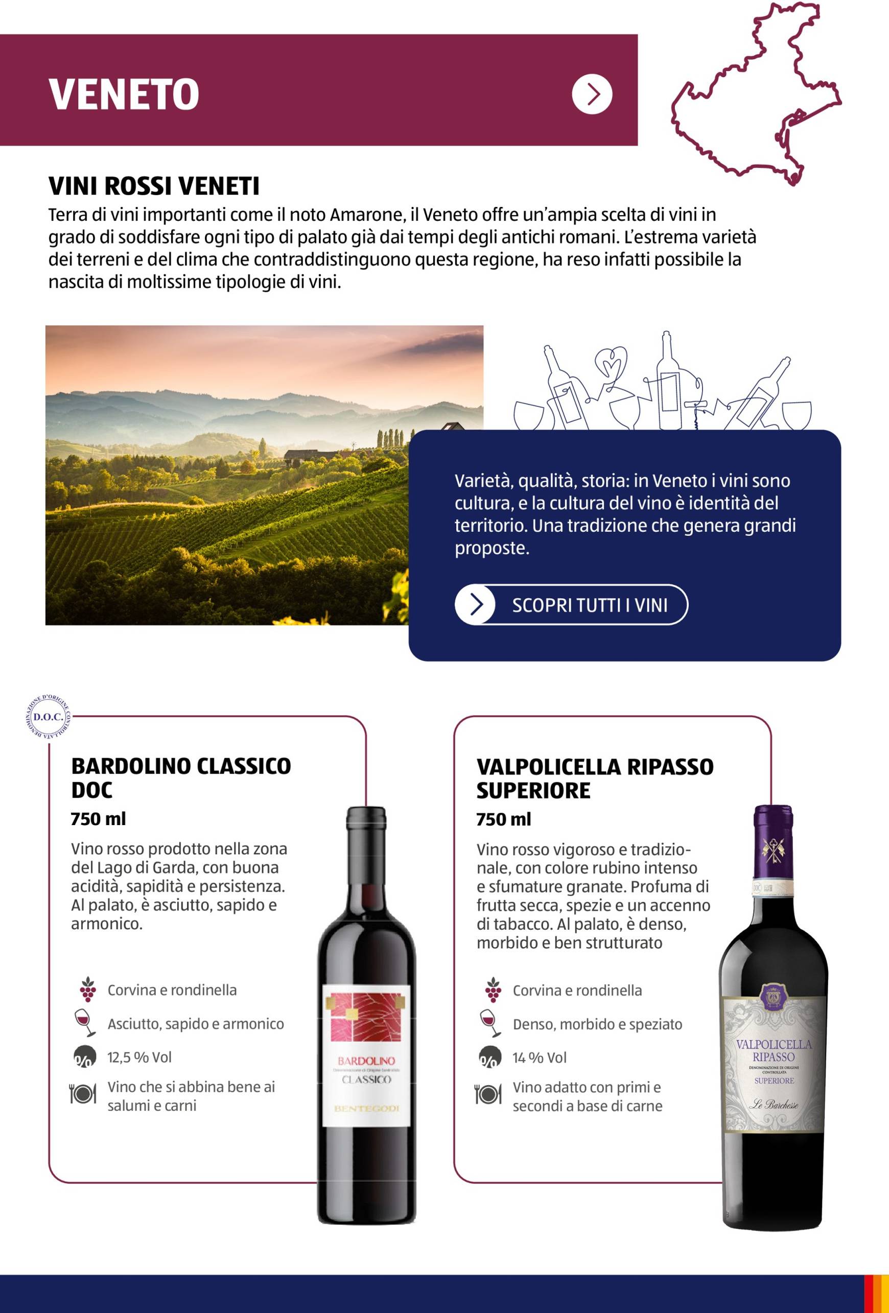 Volantino ALDI - Brochure Vinoteca valido dal 04.11. al 30.11. 16