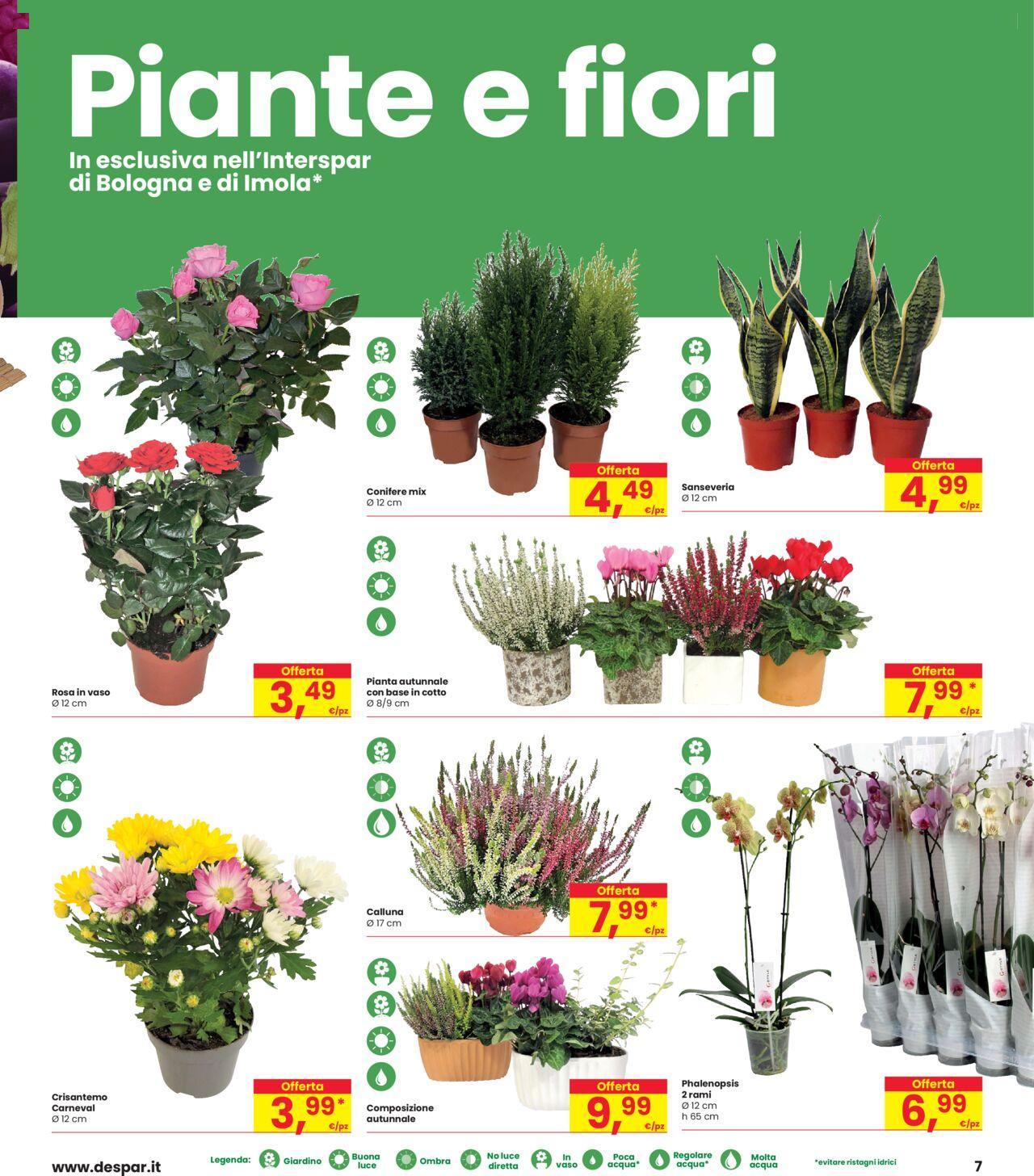 Interspar volantino 10/10/2024 - 23/10/2024 7