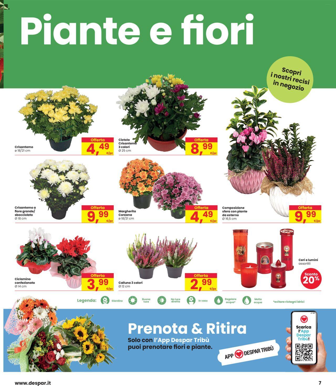 Interspar volantino 24/10/2024 - 06/11/2024 7