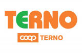 Terno