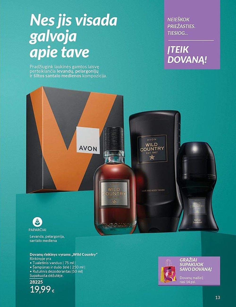 AVON - Katalogas (2024 07 01 - 2024 07 31) 207