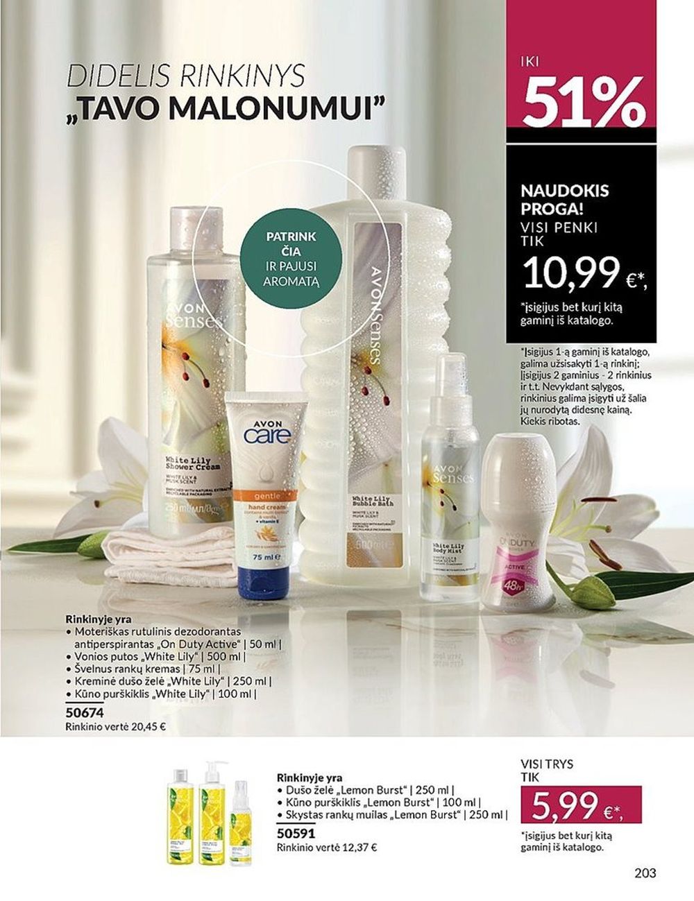 AVON - Katalogas (2024 10 01 - 2024 10 31) 205