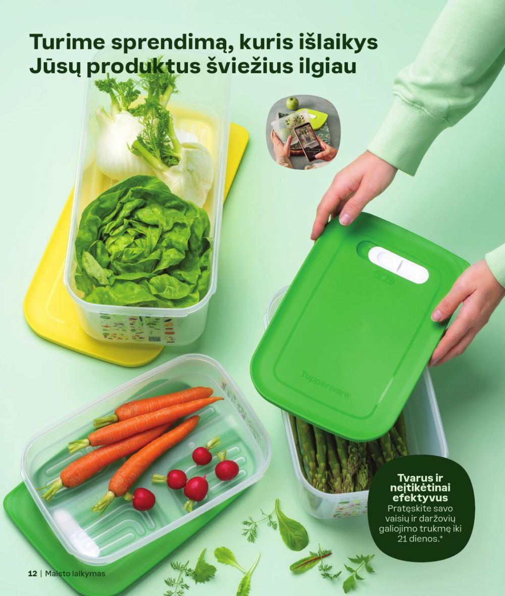 TUPPERWARE - Ruduo/Žiema 2024/25 12