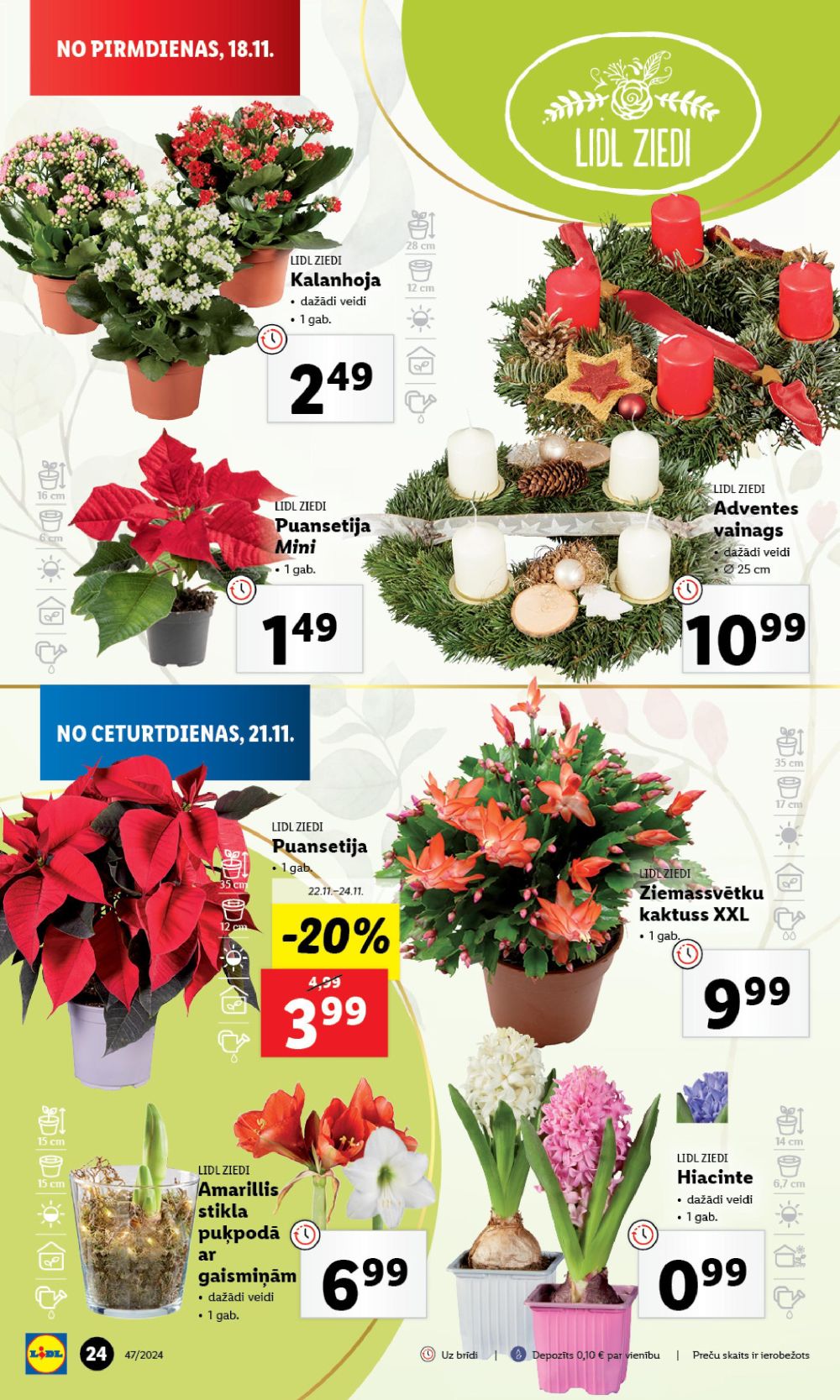 LIDL (18.11.2024 - 24.11.2024) 24