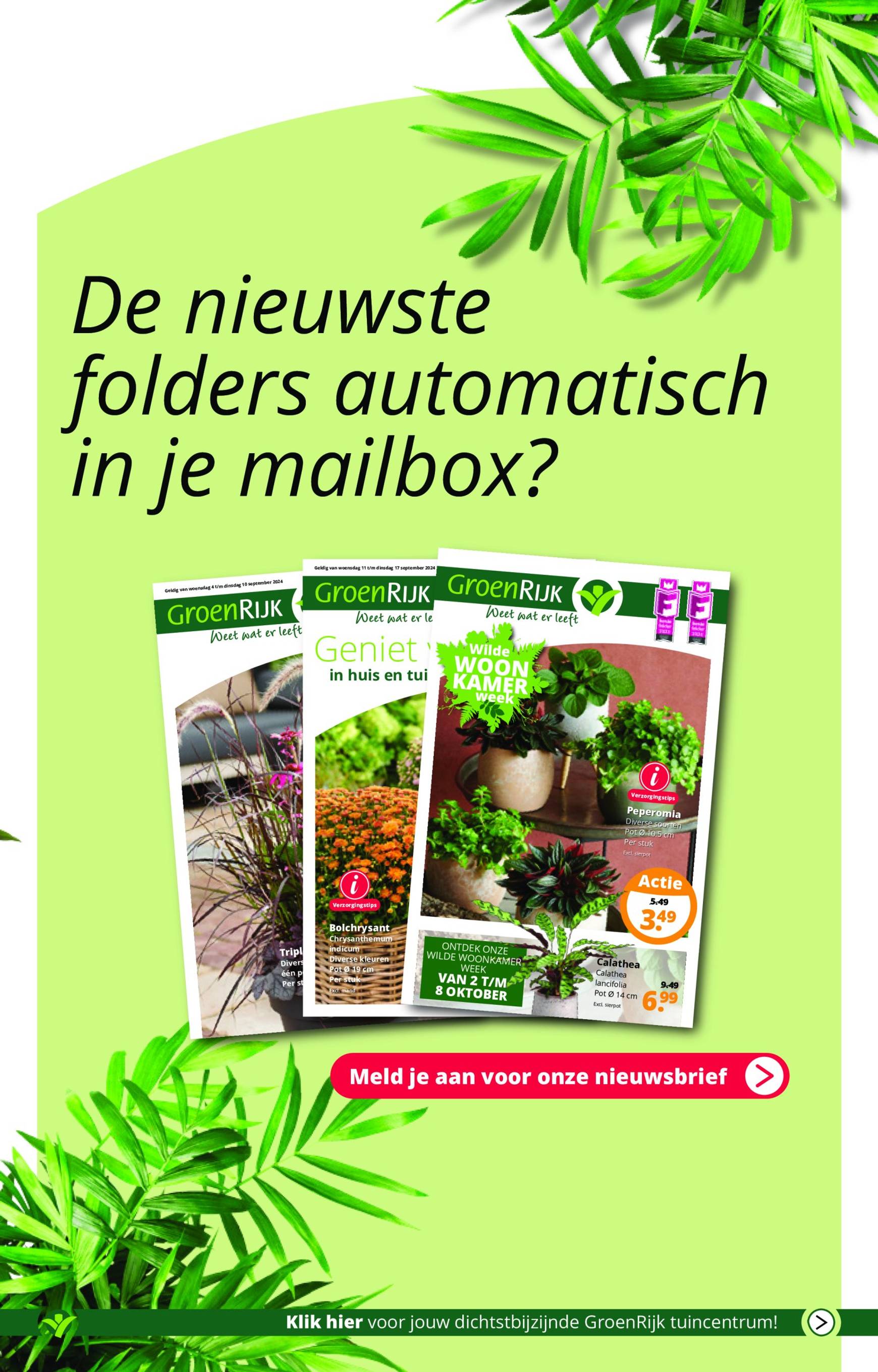 GroenRijk folder huidig 02.10. - 08.10. 8